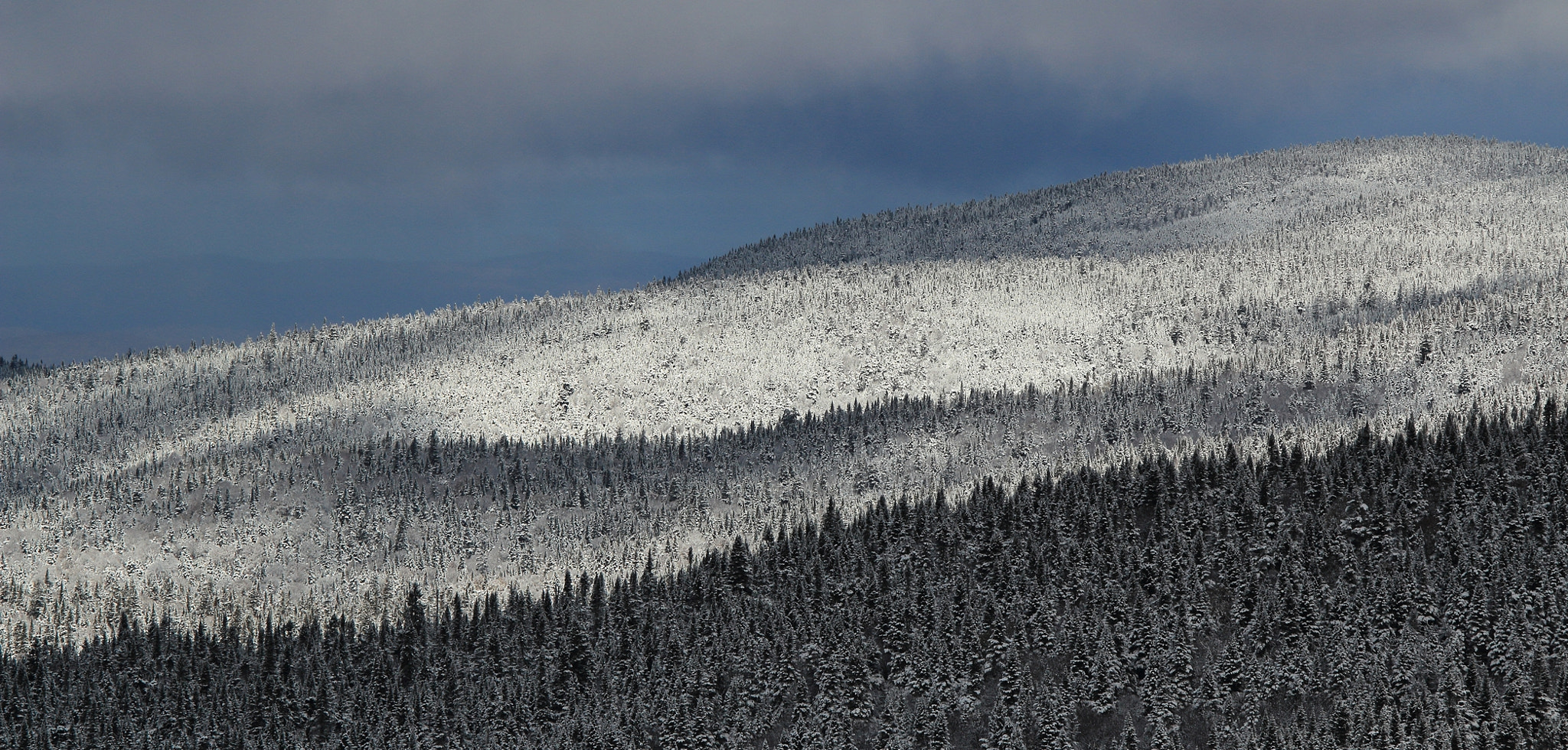 Canon EOS 600D (Rebel EOS T3i / EOS Kiss X5) + Canon EF 70-200mm F4L IS USM sample photo. Mont tremblant photography