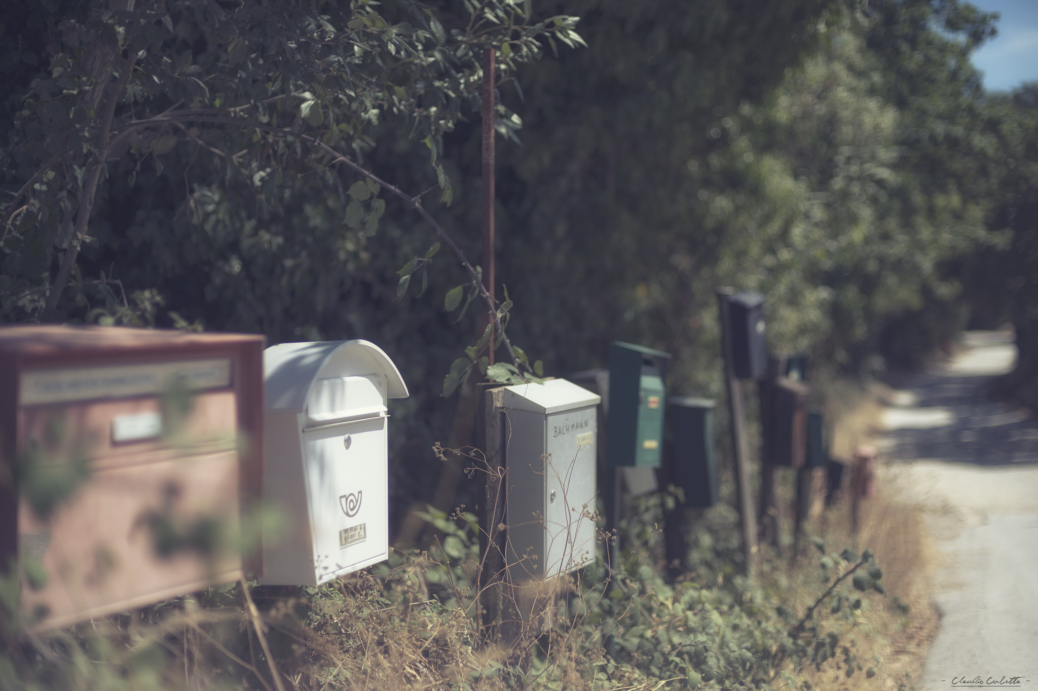 Nikon AF Nikkor 50mm F1.4D sample photo. Old letterbox photography