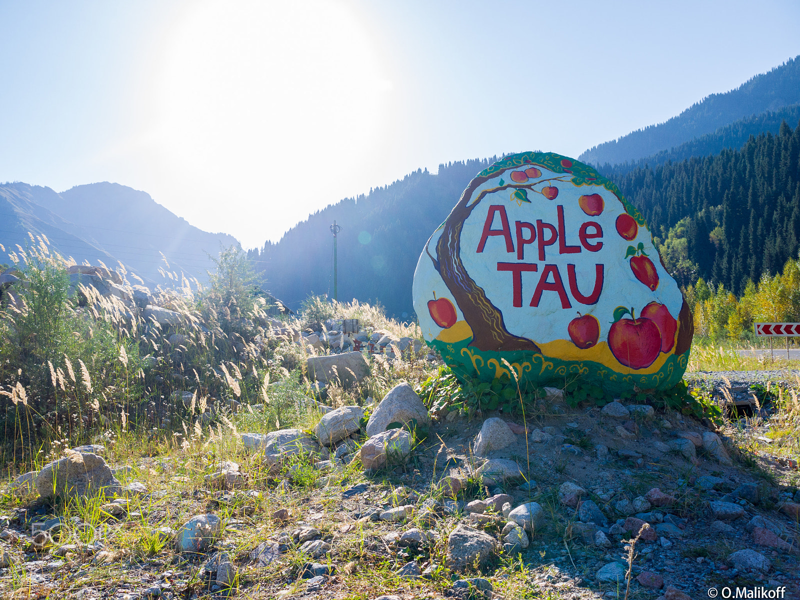 Panasonic Lumix DMC-G2 sample photo. Apple tau.jpg photography