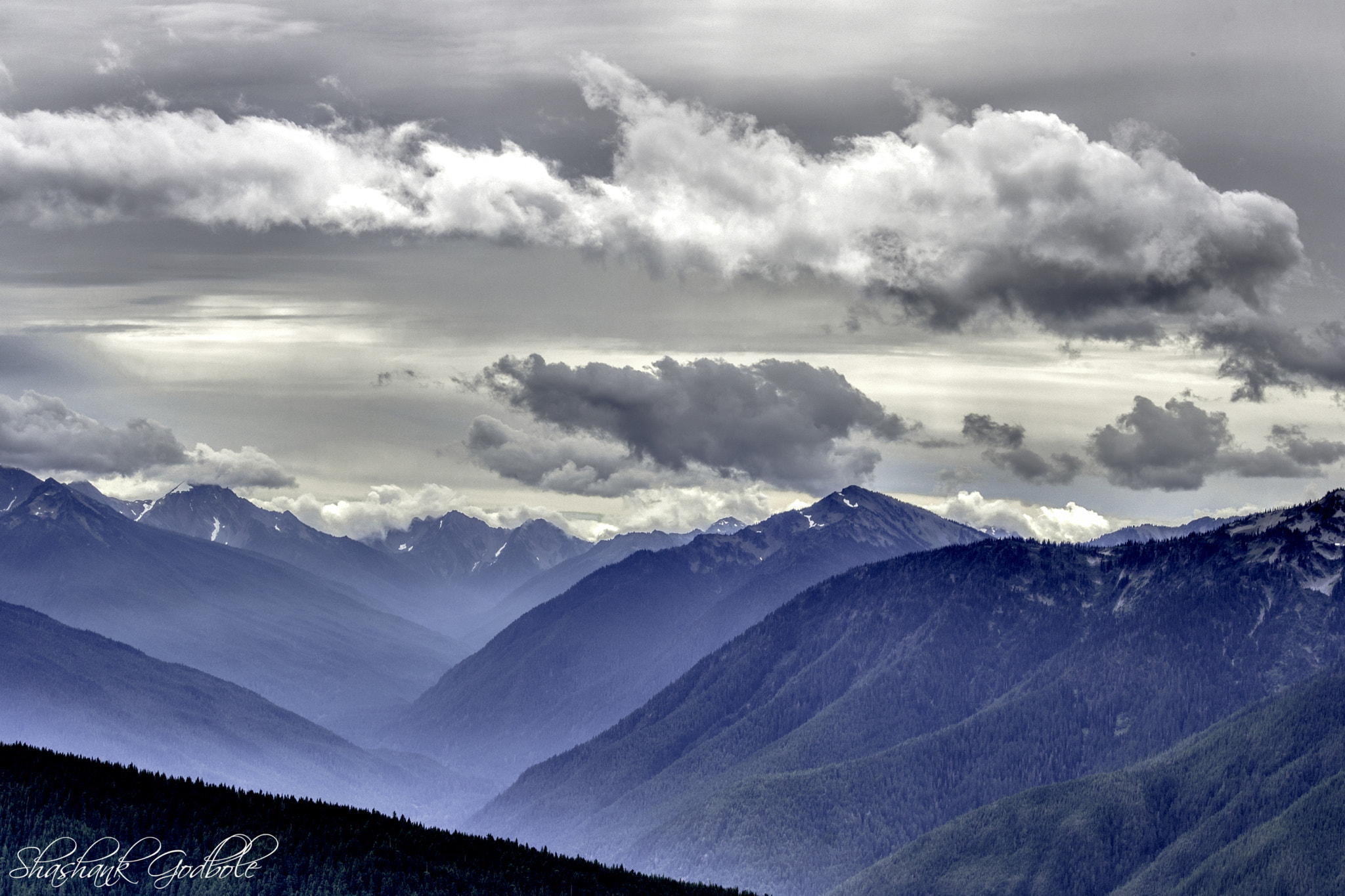 Canon EOS 1000D (EOS Digital Rebel XS / EOS Kiss F) sample photo. Hurricane ridge photography