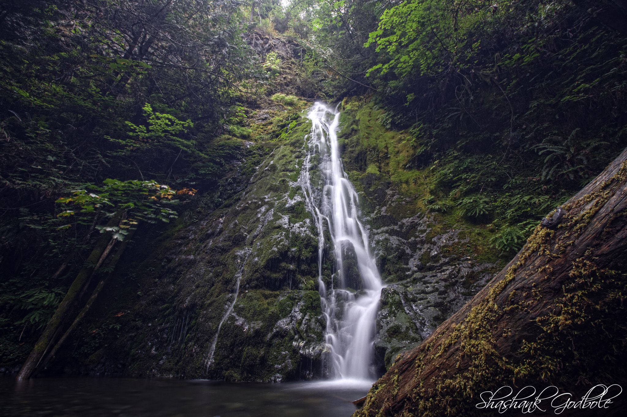 Canon EOS 1000D (EOS Digital Rebel XS / EOS Kiss F) sample photo. Madison creek falls photography
