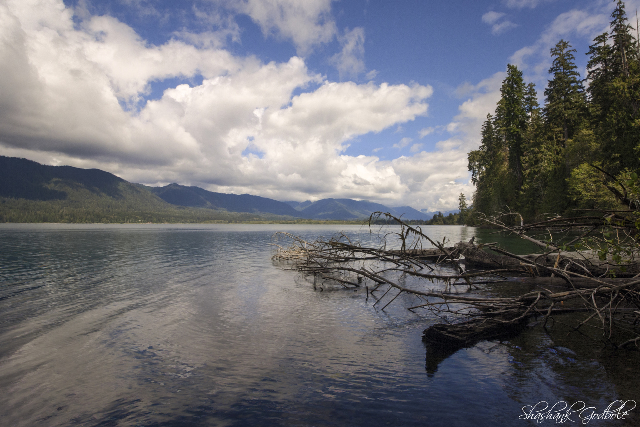 Canon EOS 1000D (EOS Digital Rebel XS / EOS Kiss F) sample photo. Quinault lake photography