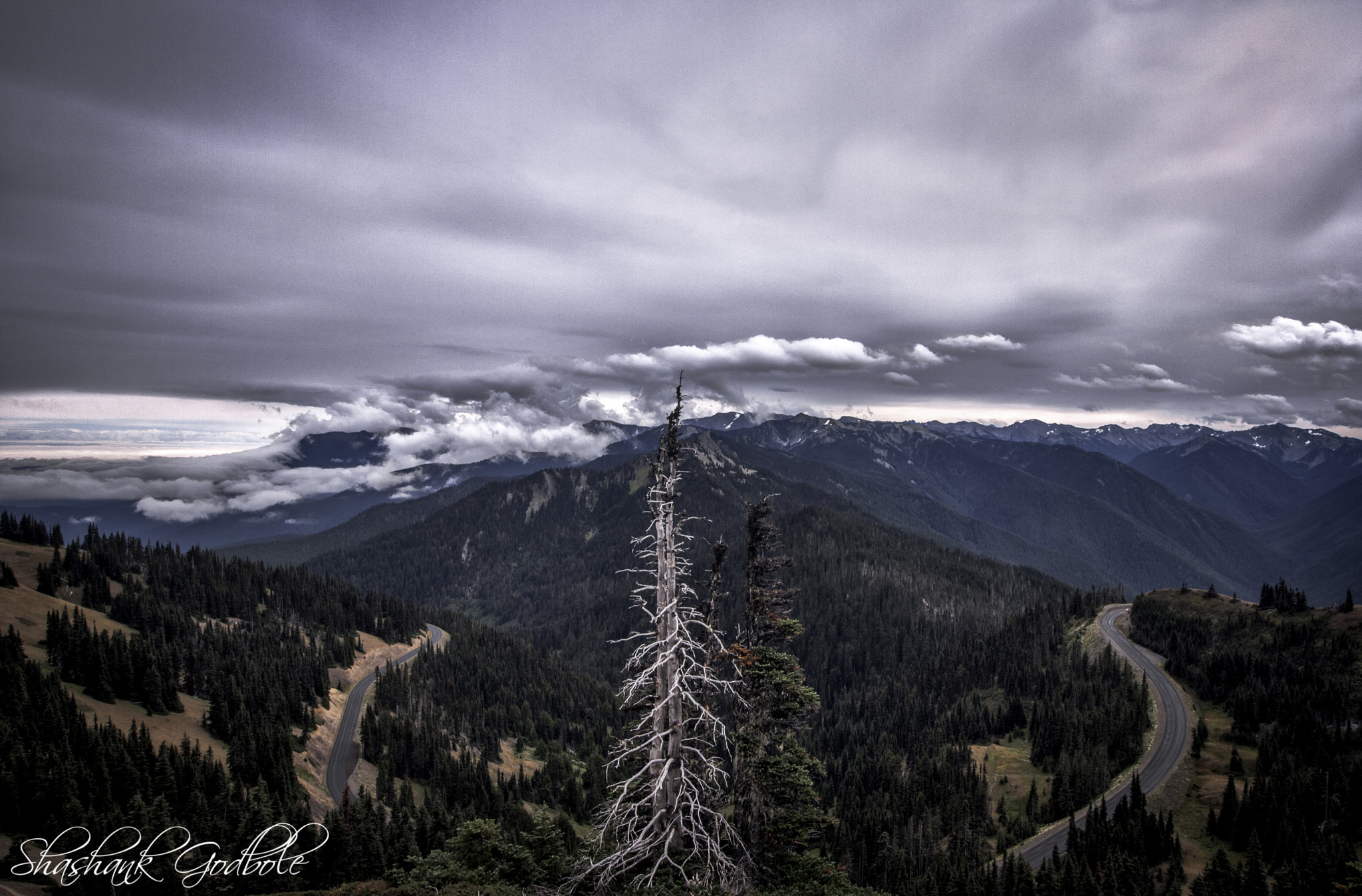 Canon EOS 1000D (EOS Digital Rebel XS / EOS Kiss F) sample photo. Hurricane ridge photography