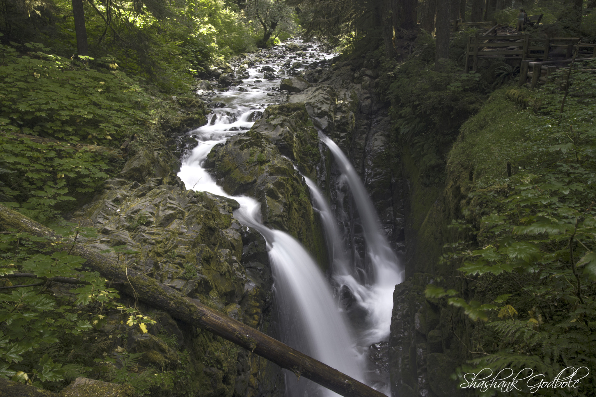 Canon EOS 1000D (EOS Digital Rebel XS / EOS Kiss F) sample photo. Sol duc falls photography