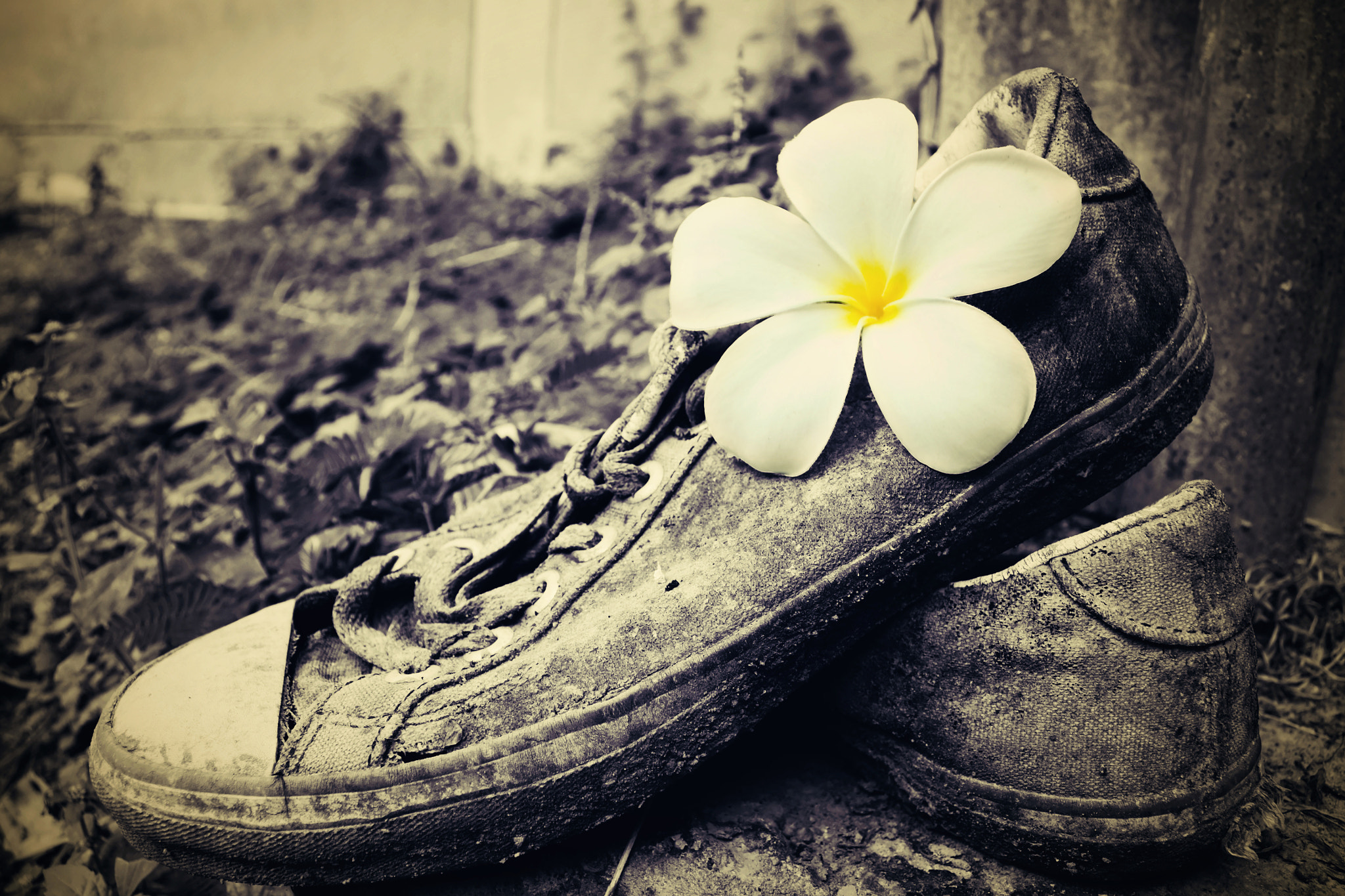 18.00 - 55.00 mm f/3.5 - 5.6 sample photo. Old sneakers photography