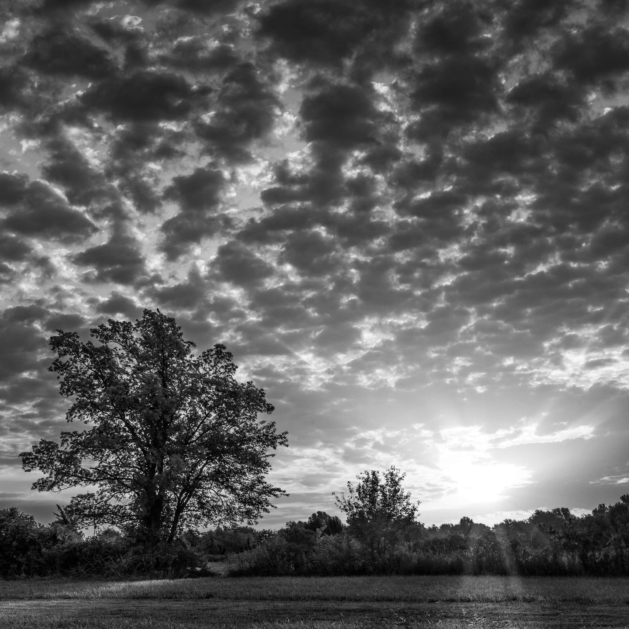 Leica APO-Summicron-M 50mm F2 ASPH sample photo. Monochrome sunrise photography