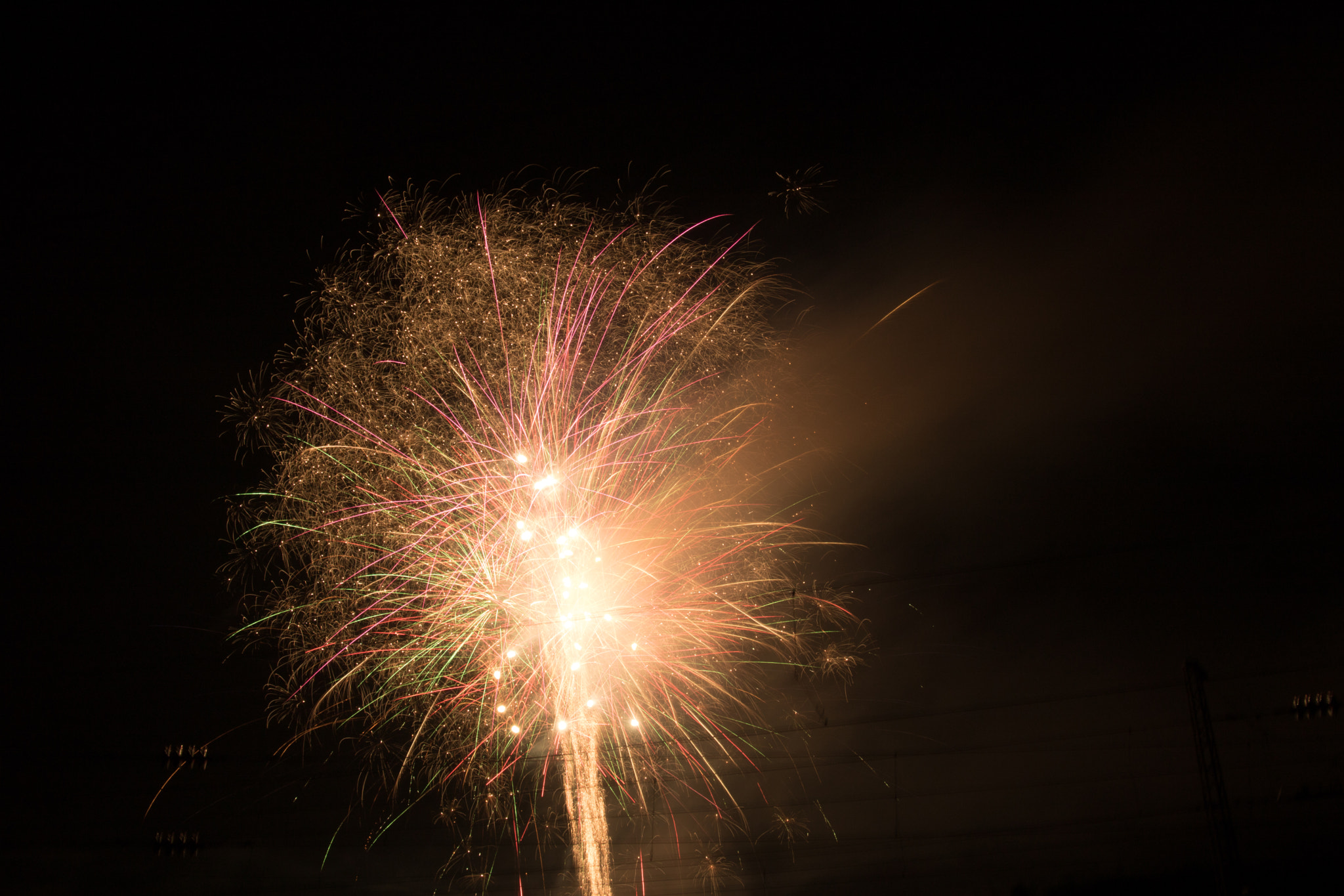 Canon EF 24-105mm F3.5-5.6 IS STM sample photo. Mg photography
