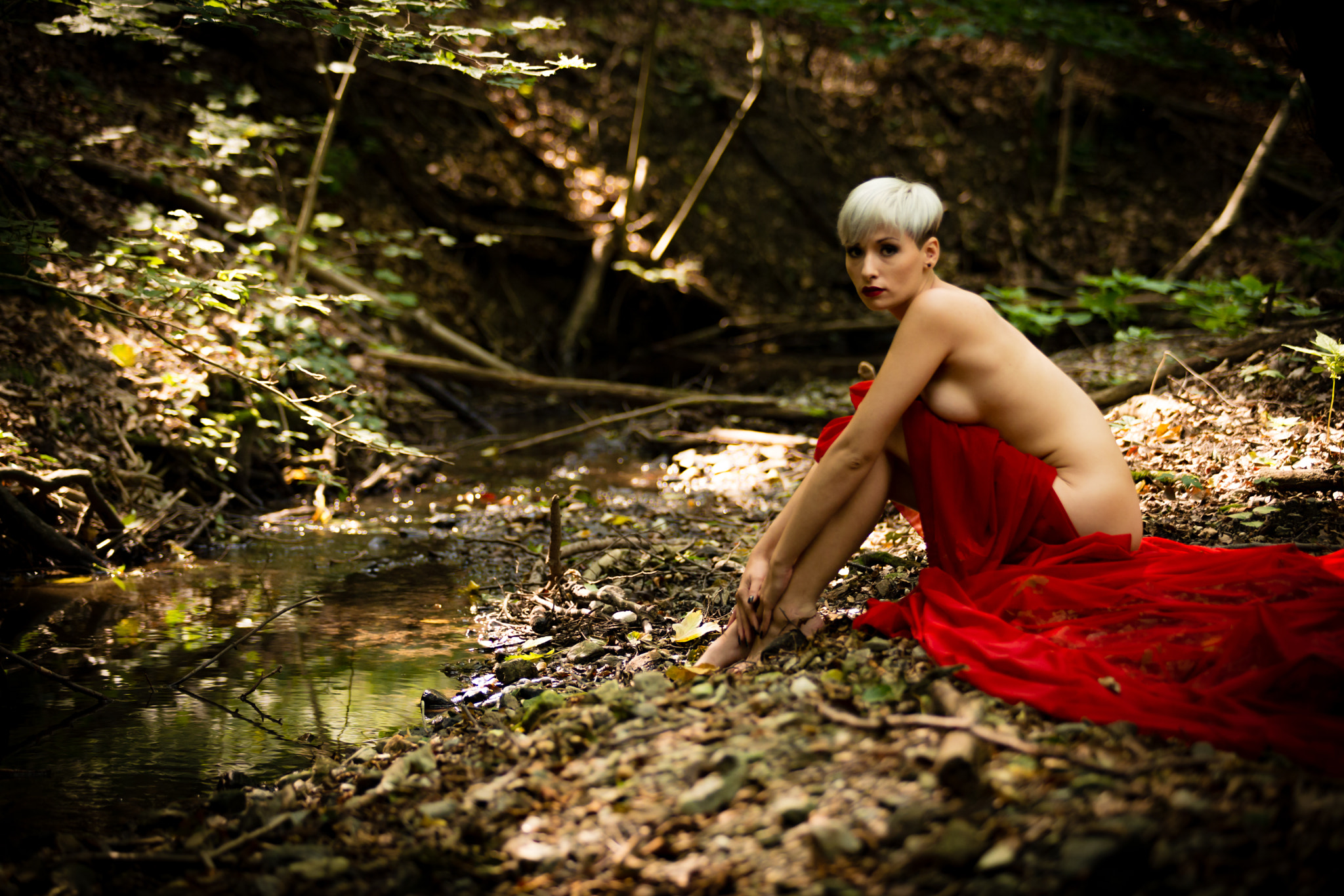 Sigma 70-200mm F2.8 EX DG OS HSM sample photo. Lonely in the forest photography