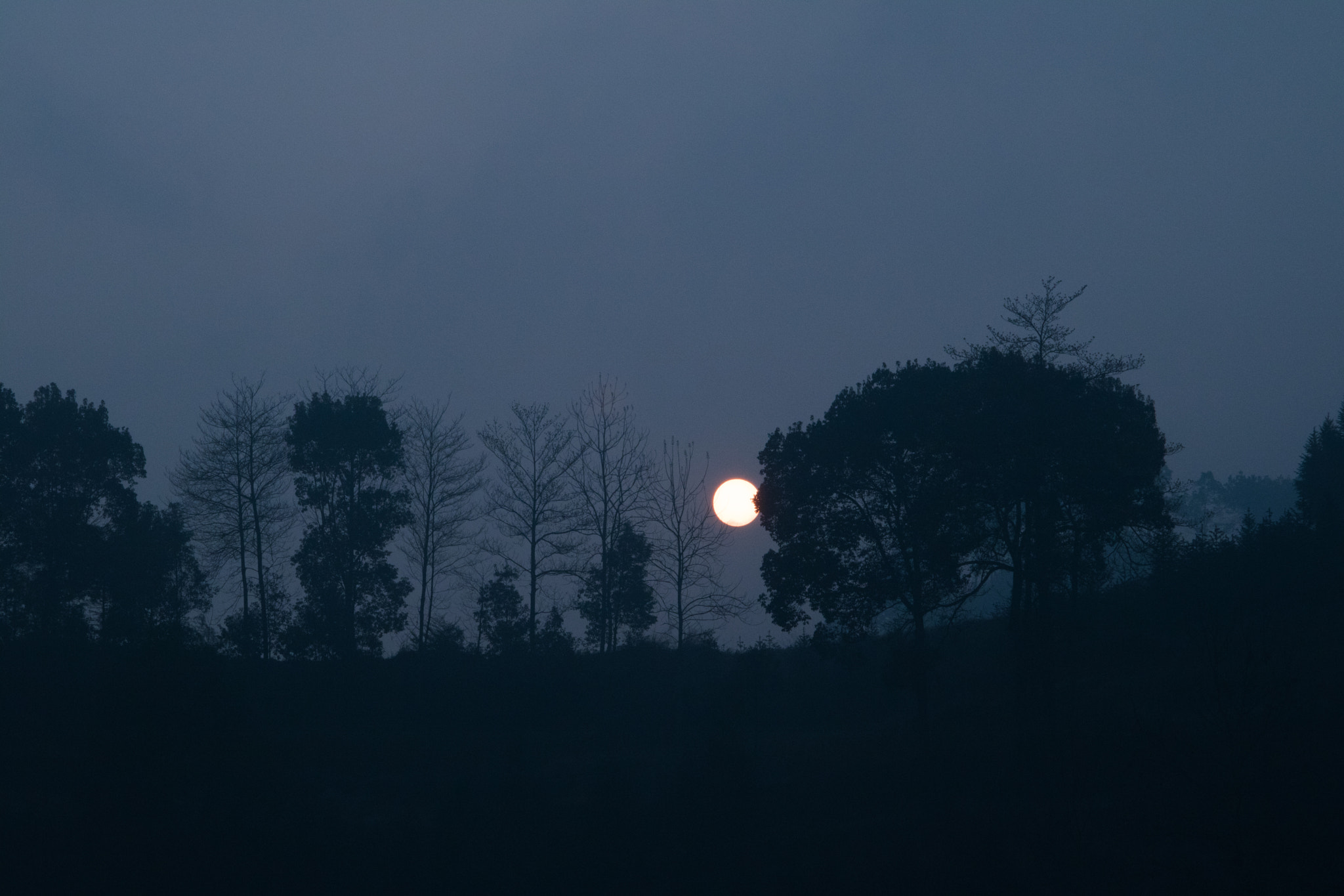 Canon EF 24-105mm F3.5-5.6 IS STM sample photo. Mg photography