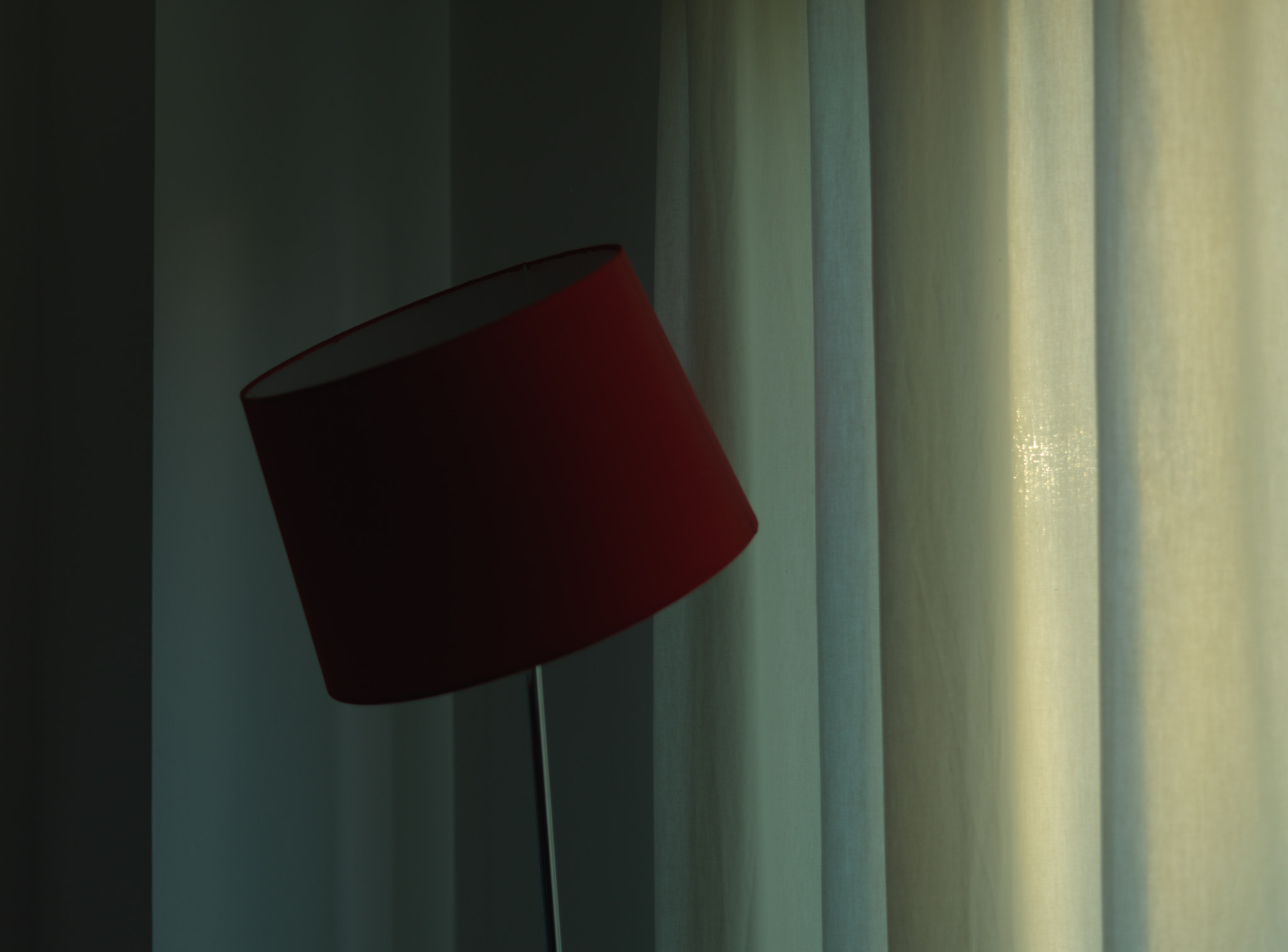 Hasselblad CFV-50C sample photo. Tilted photography