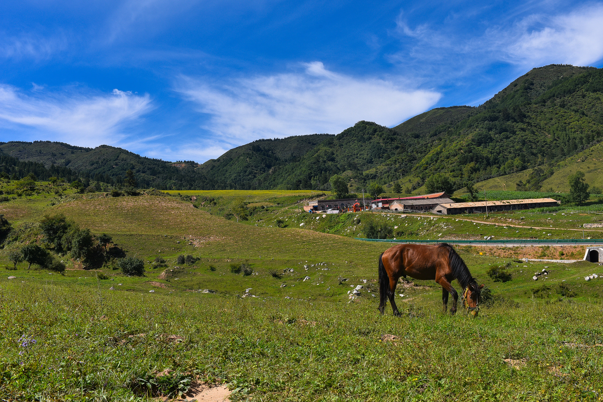 Nikon D750 + Nikon AF-S Nikkor 35mm F1.4G sample photo. Dsc photography