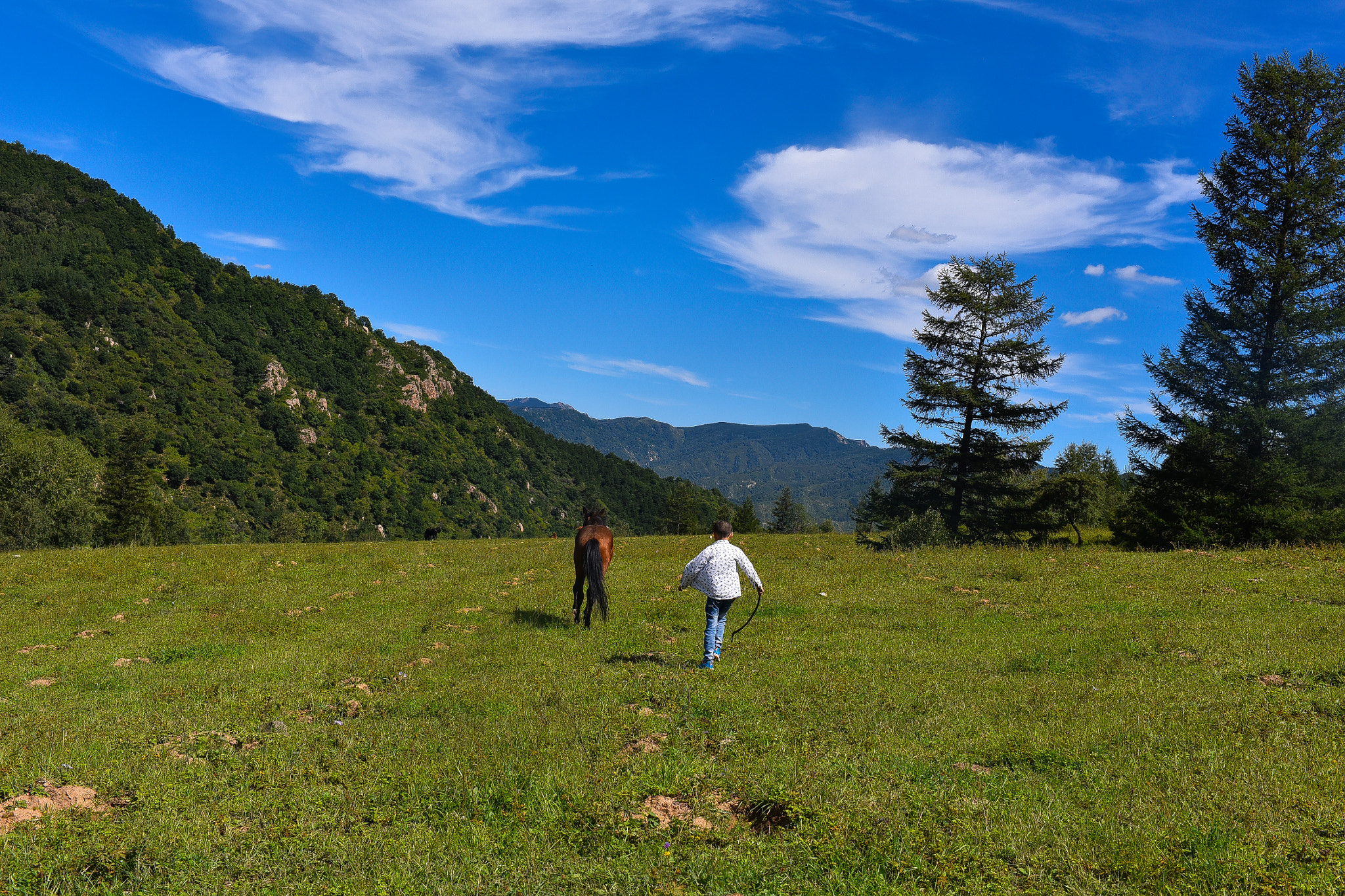 Nikon D750 + Nikon AF-S Nikkor 35mm F1.4G sample photo. Dsc photography