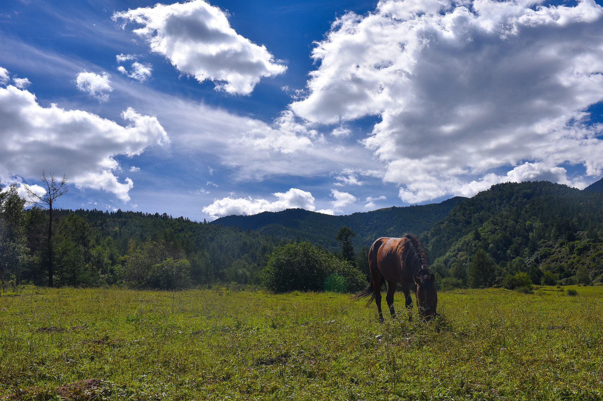 Nikon D750 + Nikon AF-S Nikkor 35mm F1.4G sample photo. Dsc photography