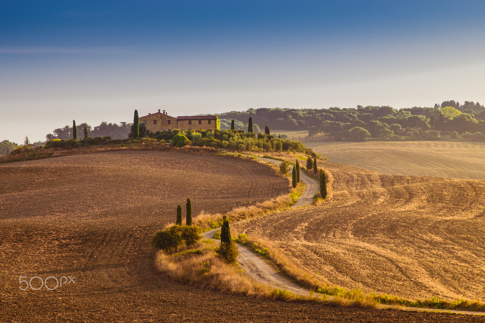 Nikon D5300 + Sigma 24-105mm F4 DG OS HSM Art sample photo. Road hill of tuscany and farm photography