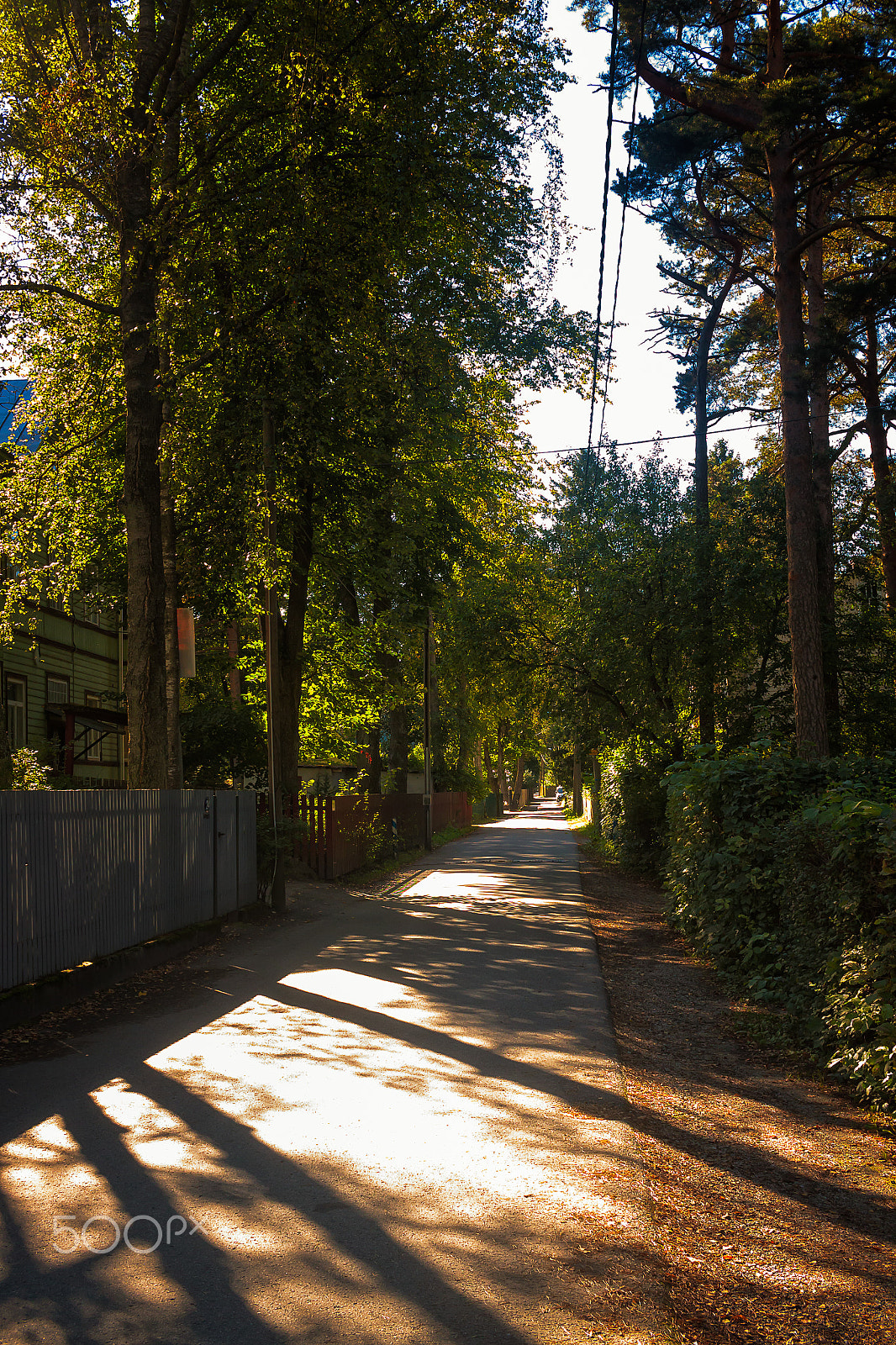 Canon EOS 50D sample photo. Street in nomme photography