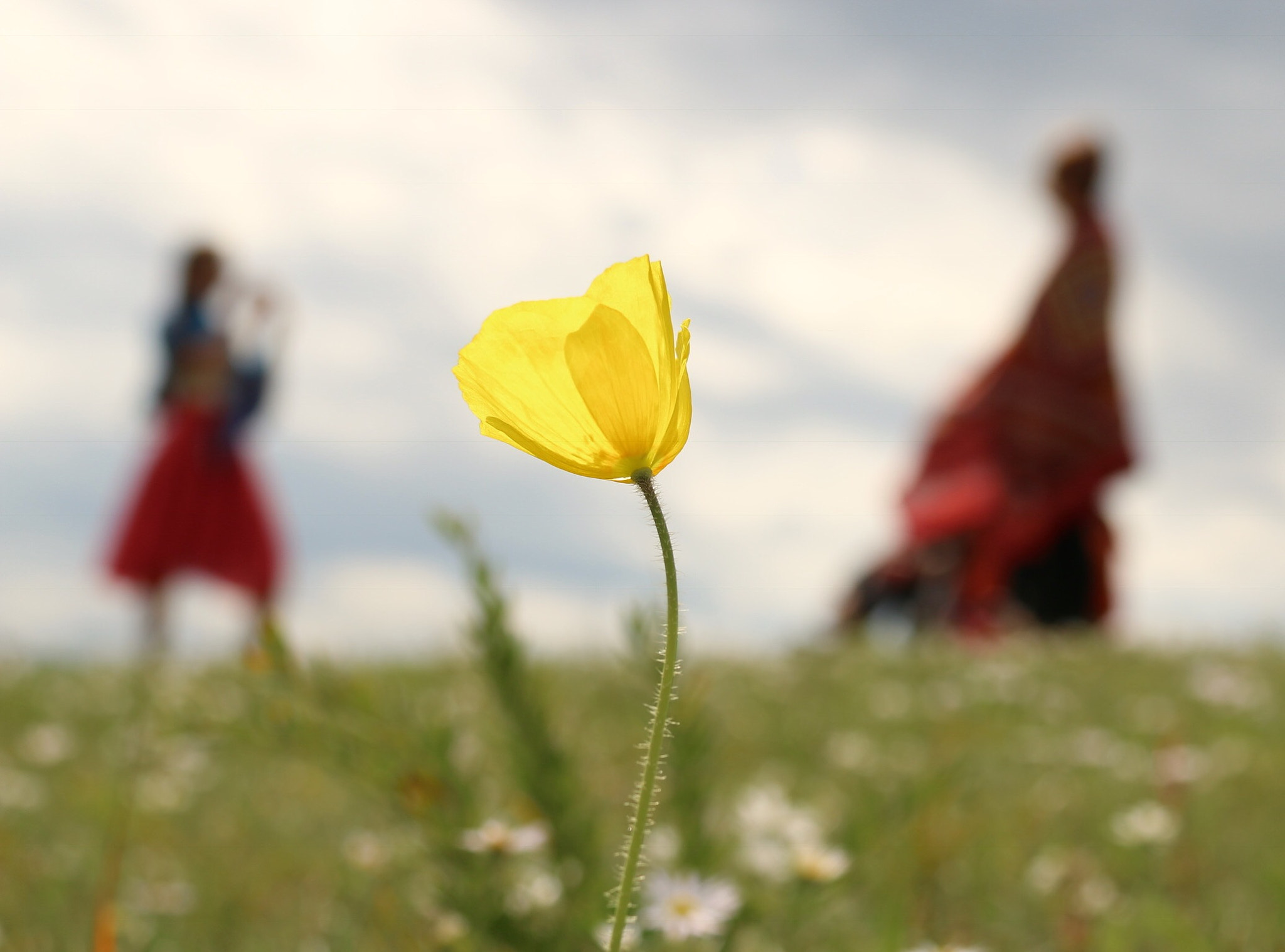 Canon EF-S 18-200mm F3.5-5.6 IS sample photo. Yellow fairy photography