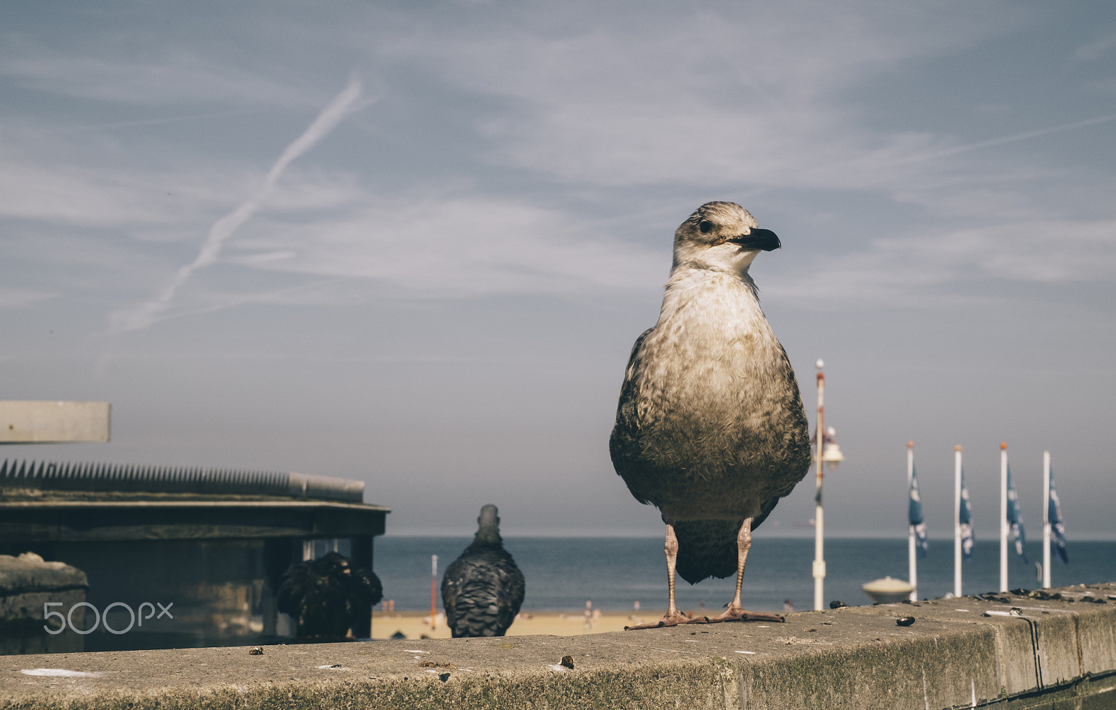 Fujifilm X-T10 + Fujifilm XF 16-55mm F2.8 R LM WR sample photo. Day at the beach photography