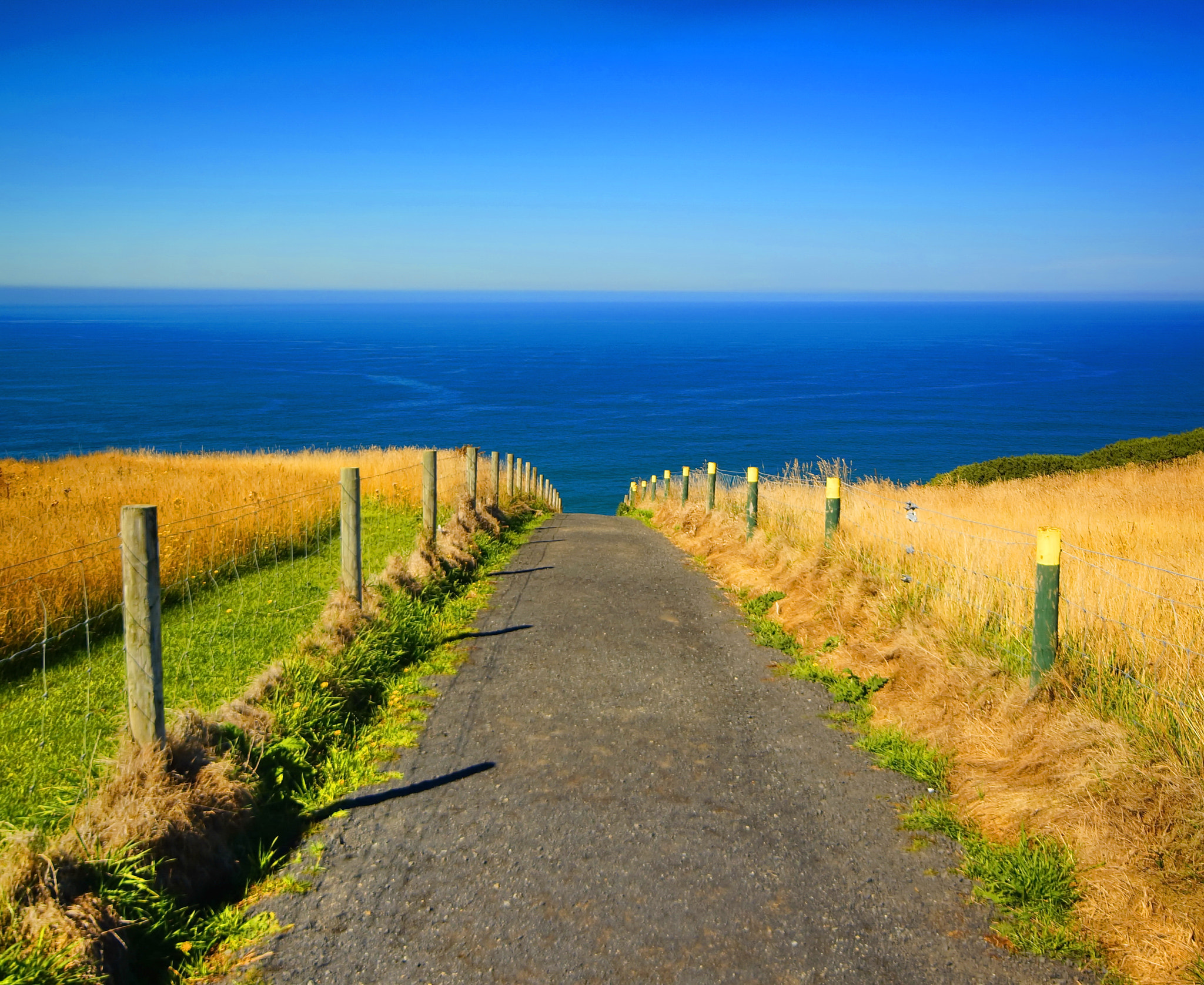 Sigma AF 10-20mm F4-5.6 EX DC sample photo. Tunnel beach dunedin new zealand photography