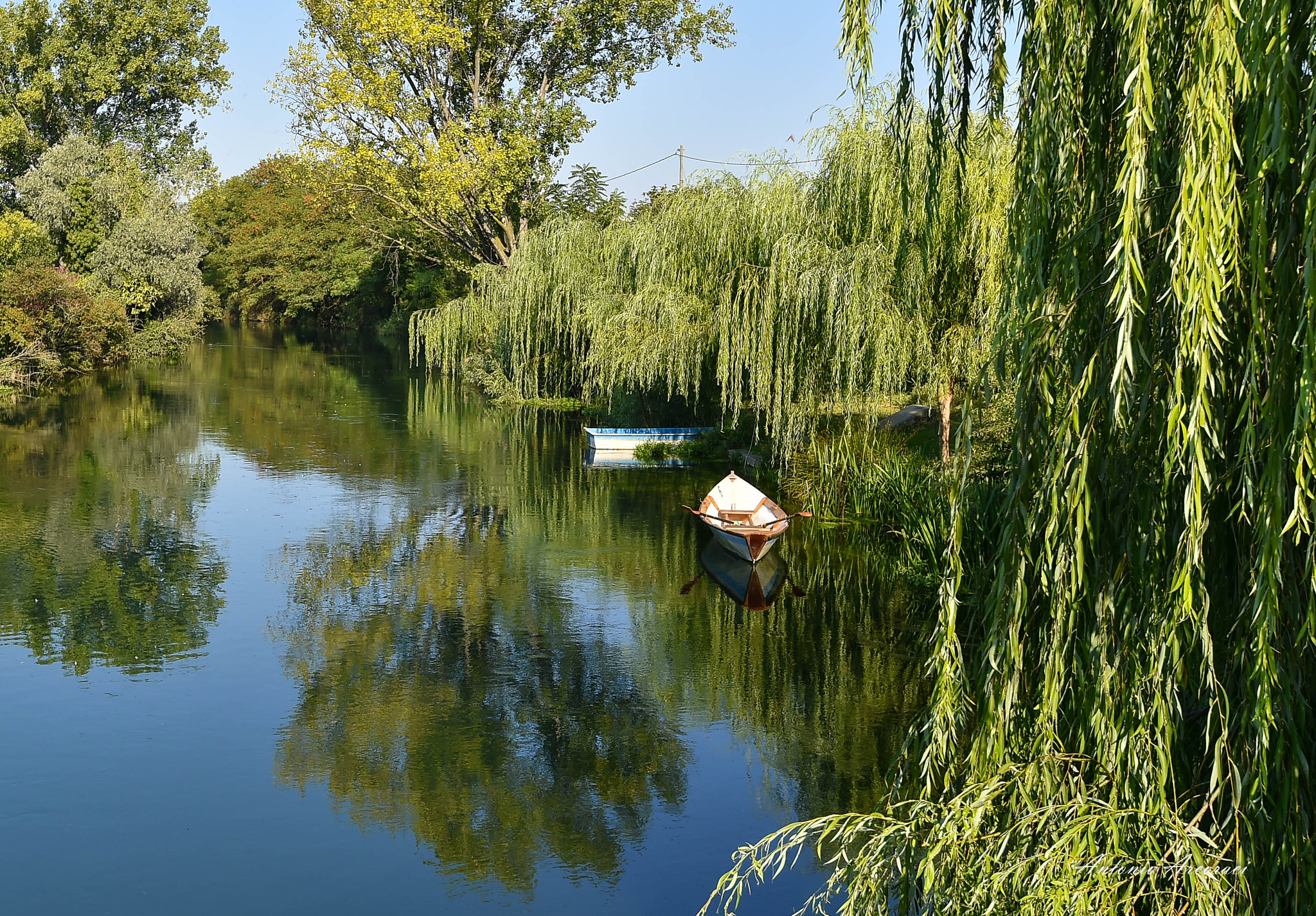 Nikon D4S sample photo. Reflections photography