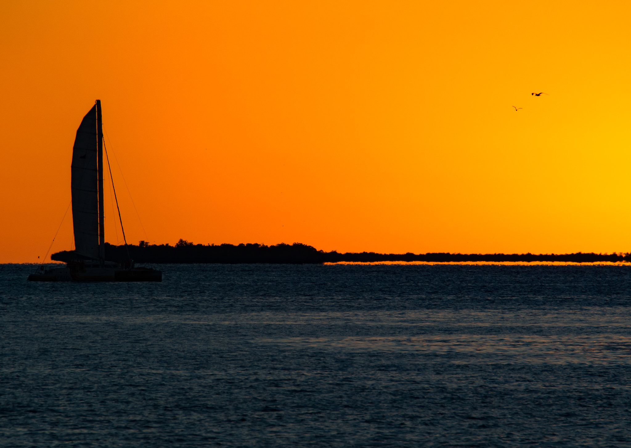Olympus OM-D E-M5 sample photo. Sunset sailing photography