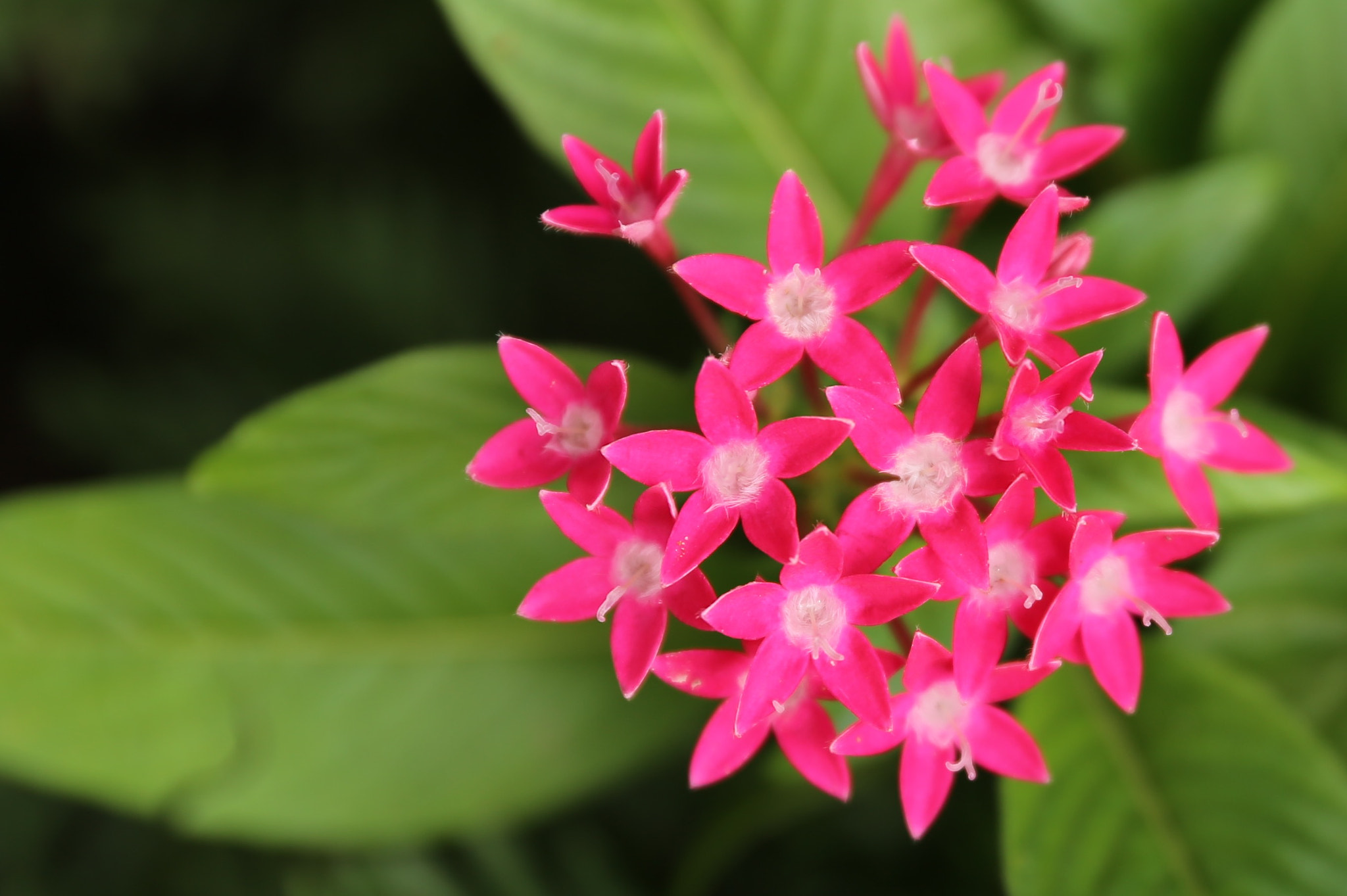 Canon EF 24-70mm F2.8L II USM sample photo