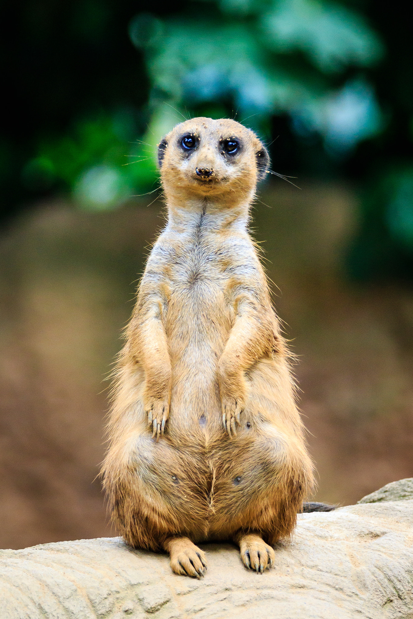 Canon EOS 7D Mark II + Canon EF 70-200mm F2.8L IS II USM sample photo. Zoo duisburg photography