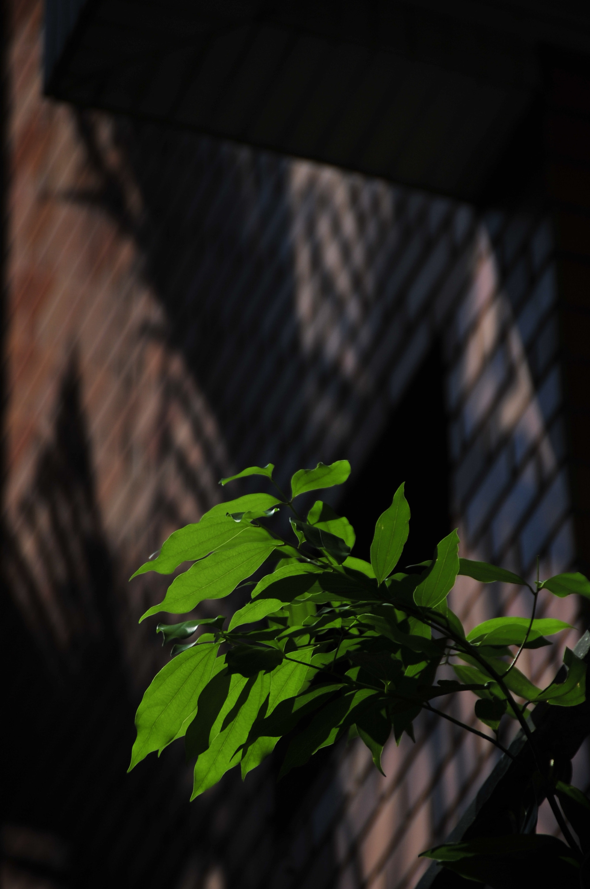 Nikon D3 sample photo. .. photography