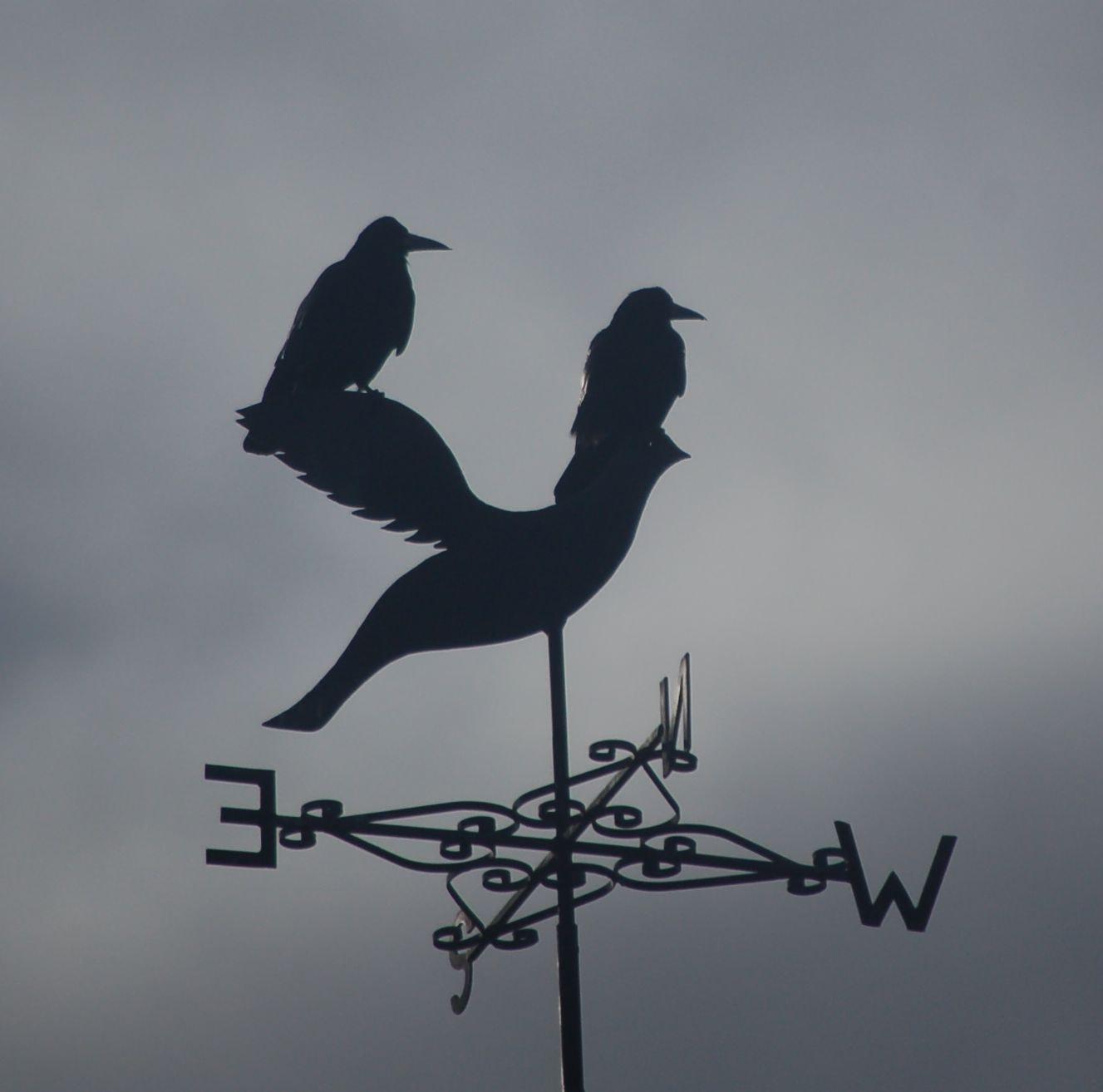 Nikon D50 sample photo. East or west home is best photography