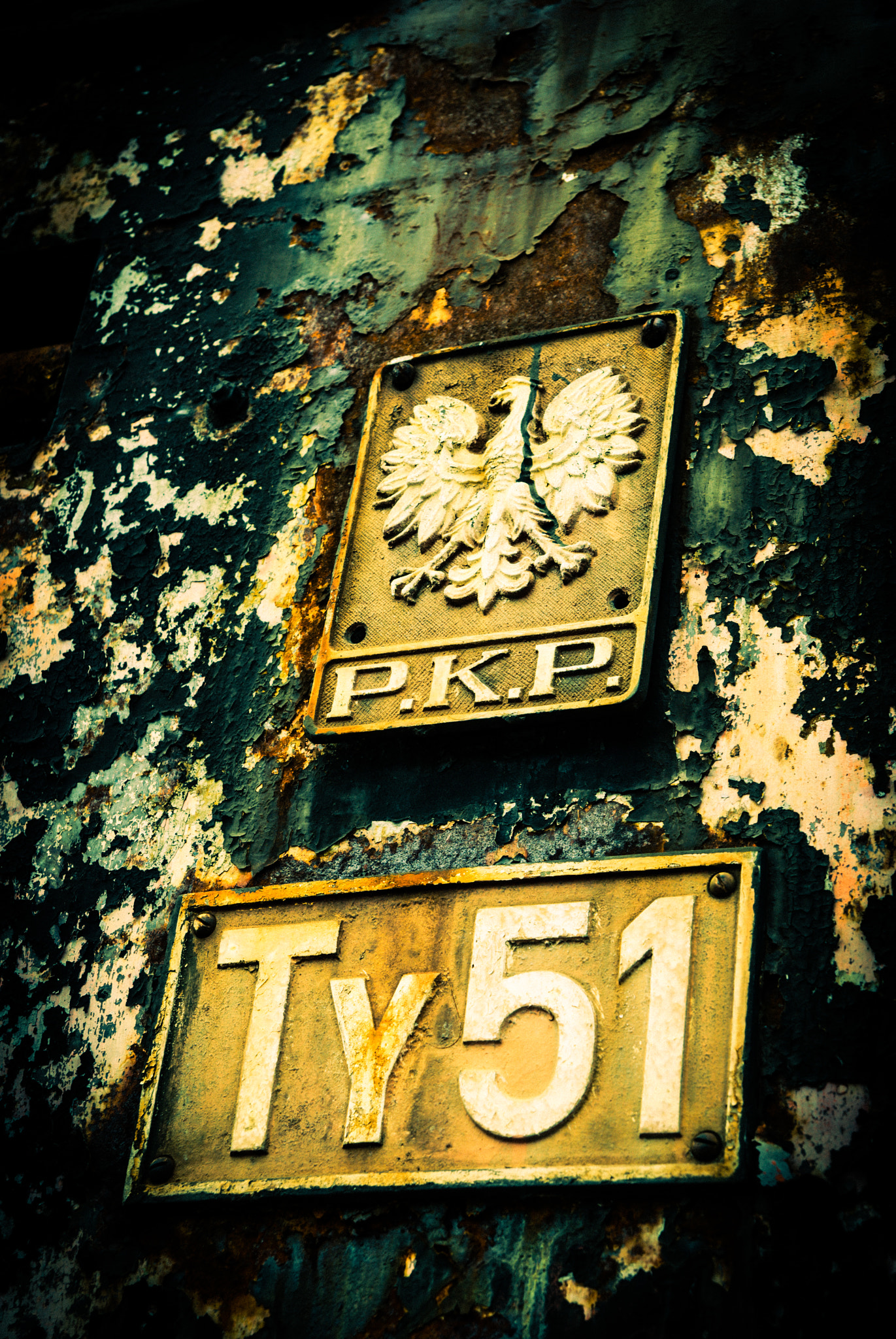 Sony Alpha DSLR-A300 sample photo. Loco plate photography