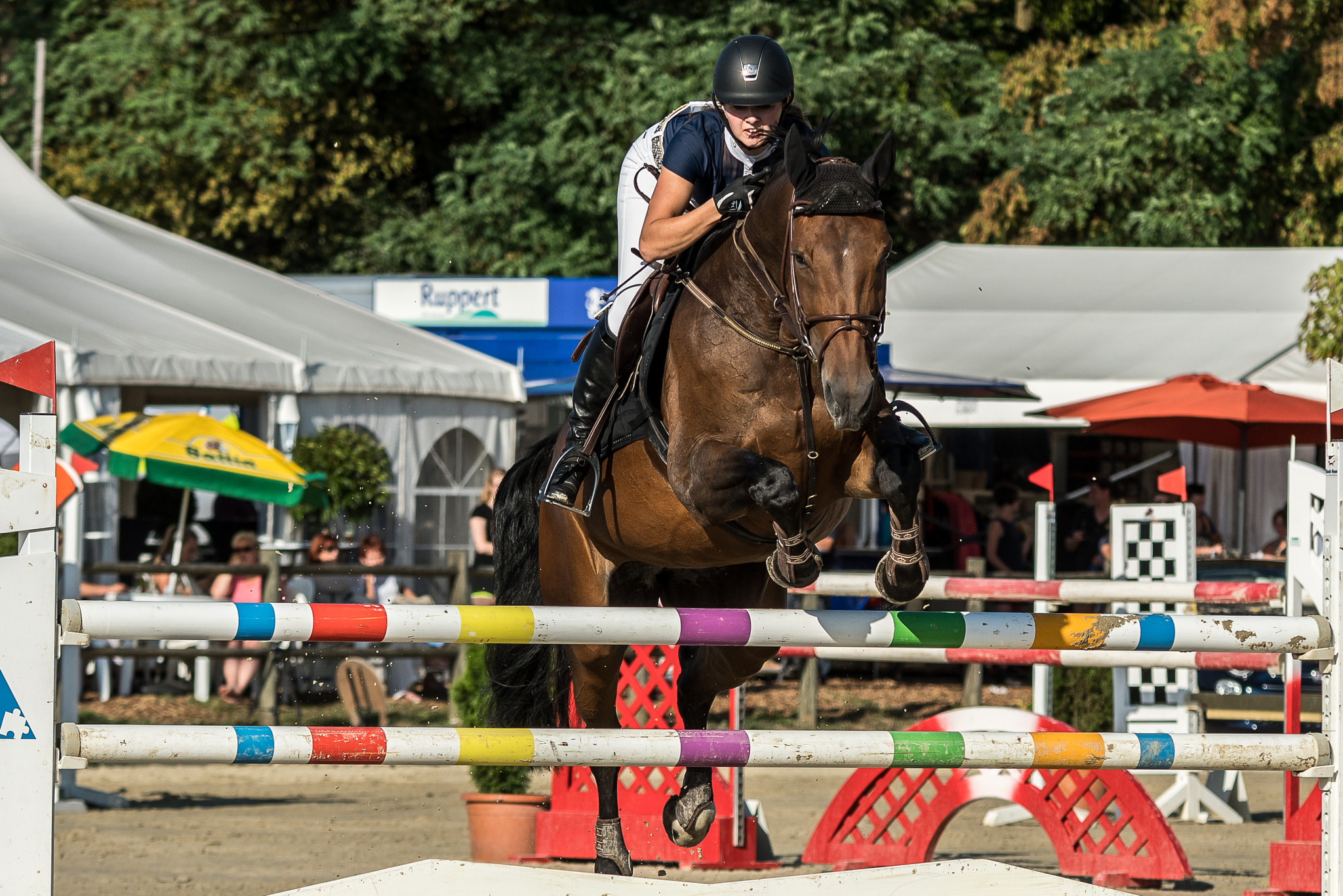 Sigma 70-200mm F2.8 EX DG OS HSM sample photo. Flse jumping championship photography