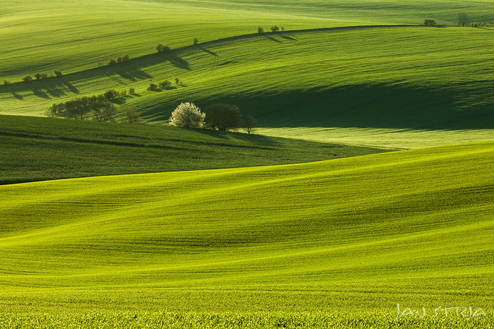 Canon EF 70-300mm F4-5.6L IS USM sample photo. Green waves photography
