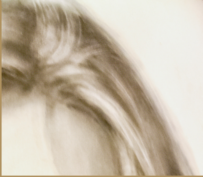 KONICA MINOLTA DiMAGE F300 sample photo. Drawing photography