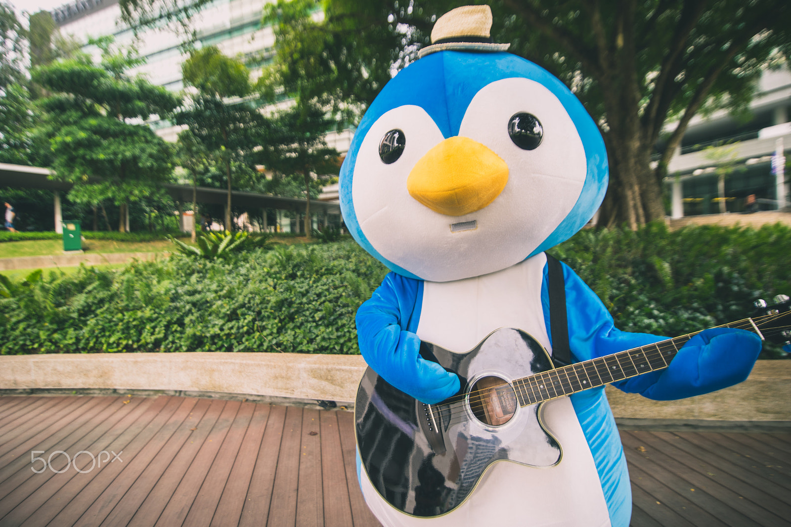 16-28mm F2.8 sample photo. Slf penguin 3 photography