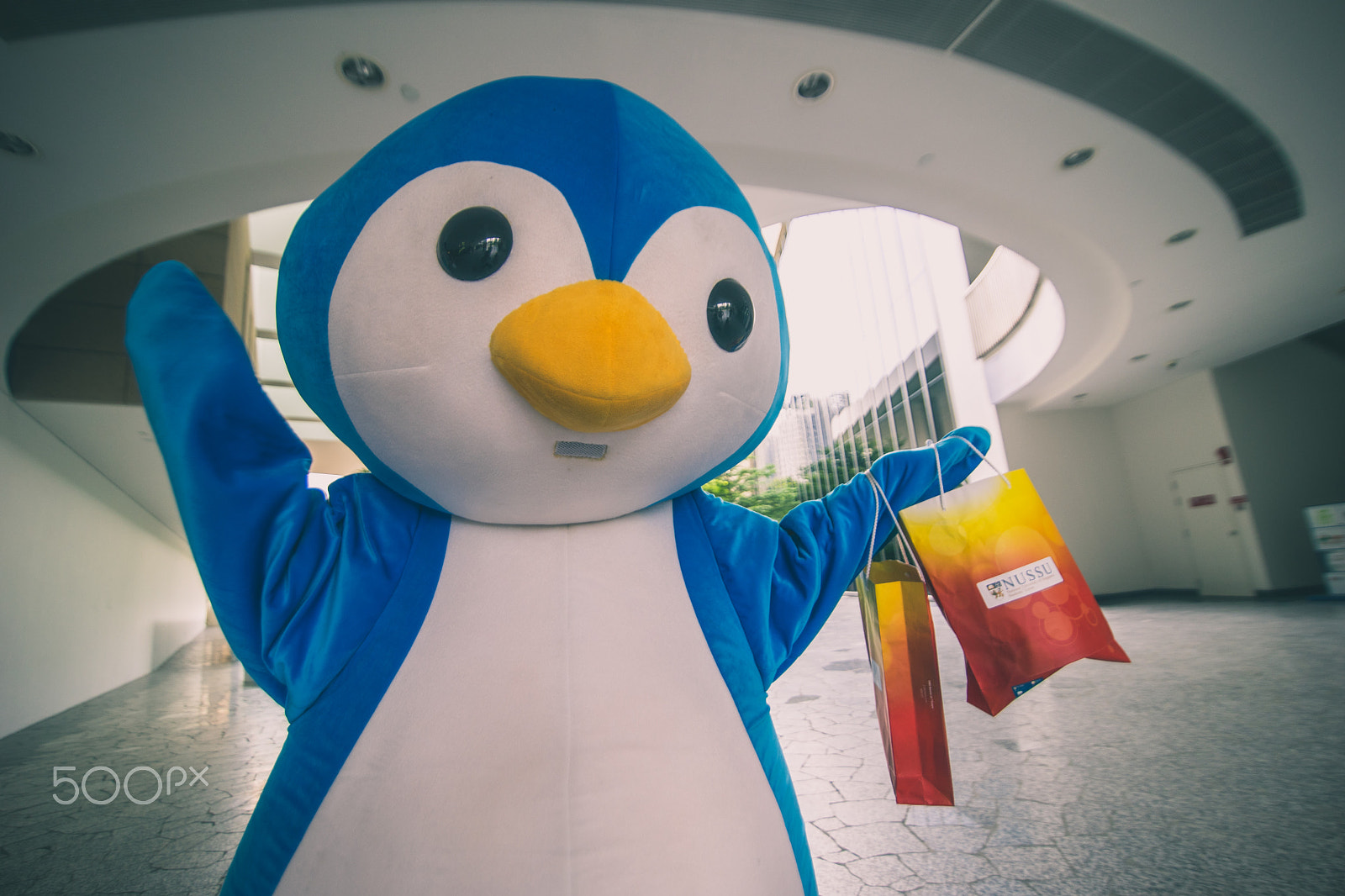 16-28mm F2.8 sample photo. Slf penguin 2 photography