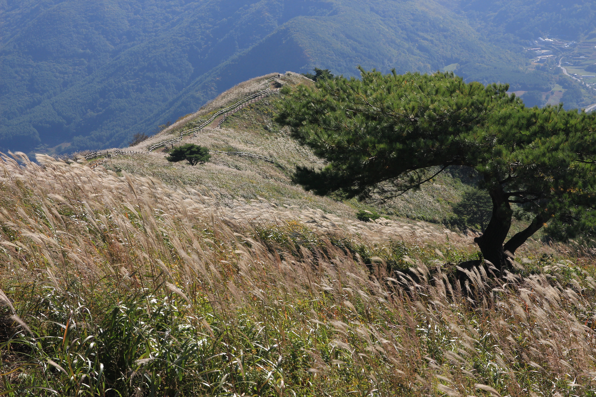 Canon EOS 650D (EOS Rebel T4i / EOS Kiss X6i) sample photo. Fall mountain photography
