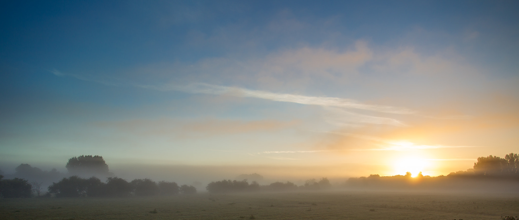 Canon EOS-1D Mark IV sample photo. Misty dawn photography