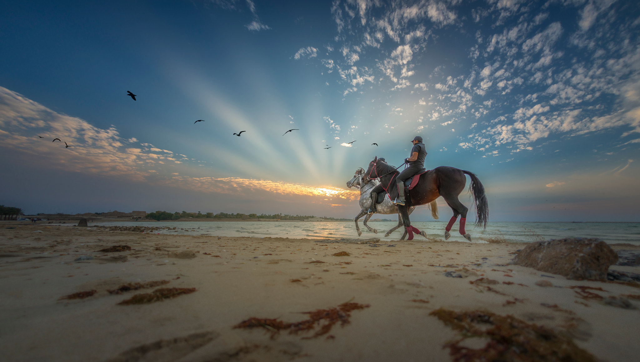 Nikon D800 + Sigma 15mm F2.8 EX DG Diagonal Fisheye sample photo. Bahrain beaches photography