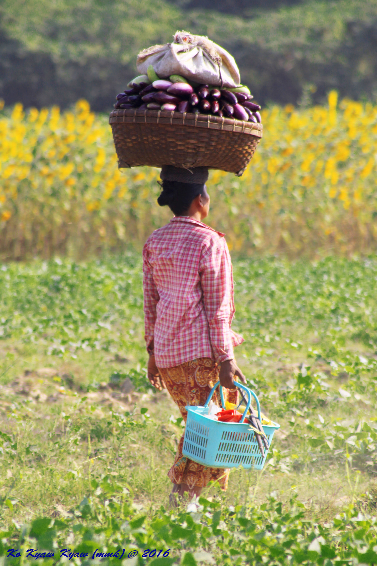 Canon EOS 50D + EF75-300mm f/4-5.6 sample photo. Go to market photography