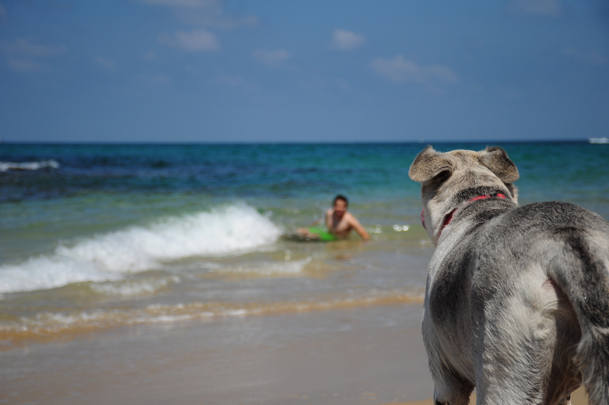 Nikon D5000 sample photo. Tel aviv, israel photography