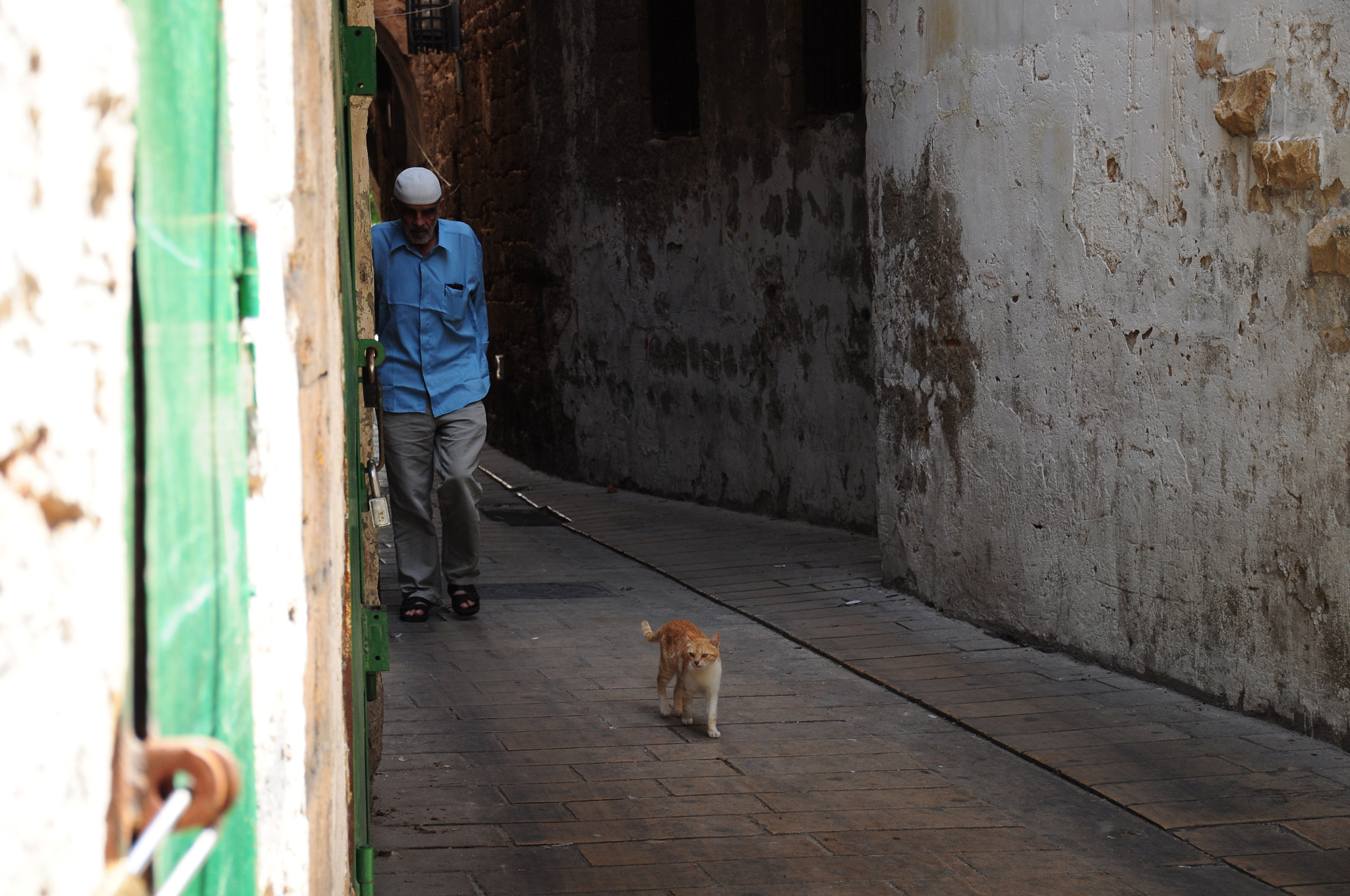 Nikon D5000 sample photo. Old akko, israel photography