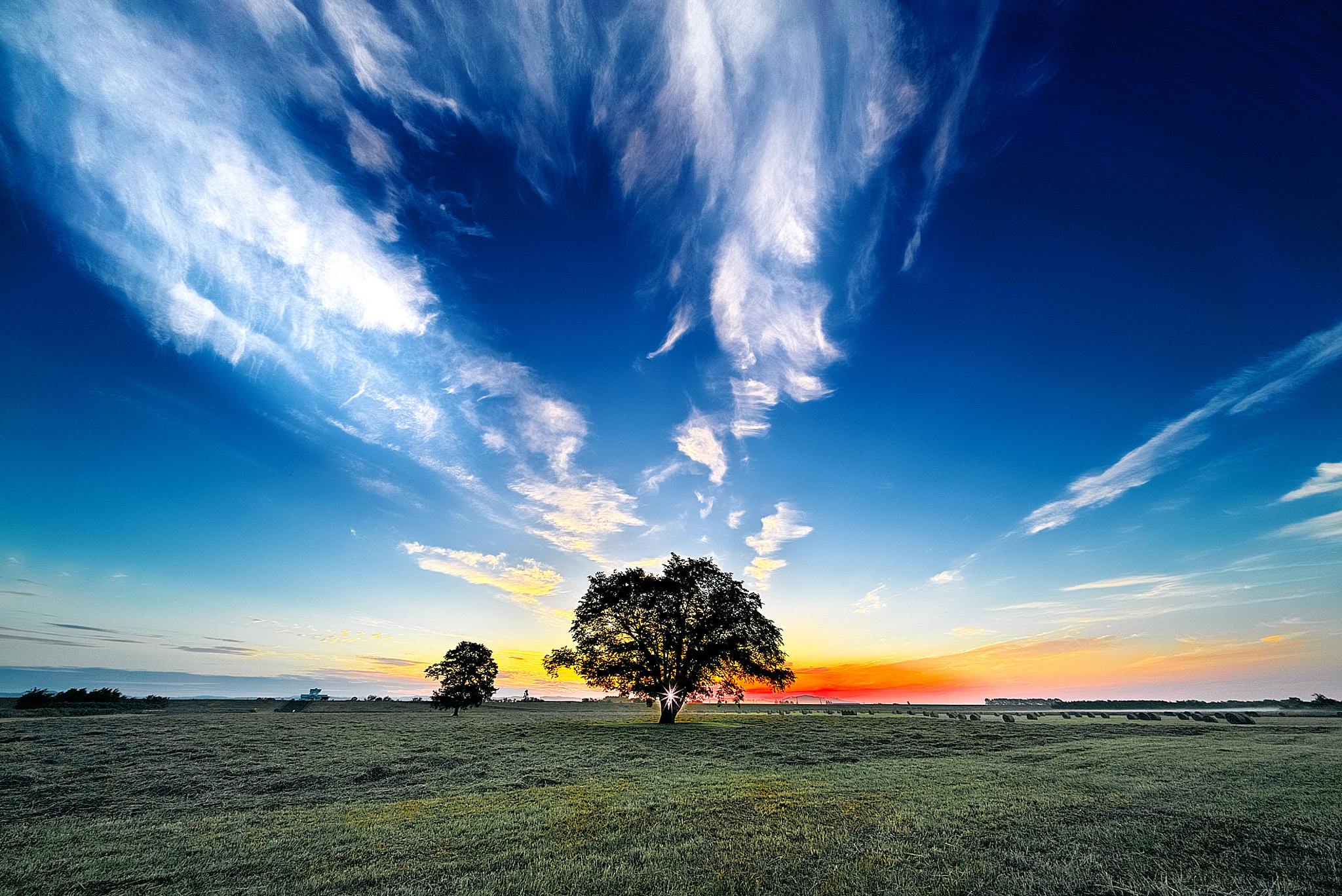 E 10mm F5.6 sample photo. Ain't it good to be alive ? photography