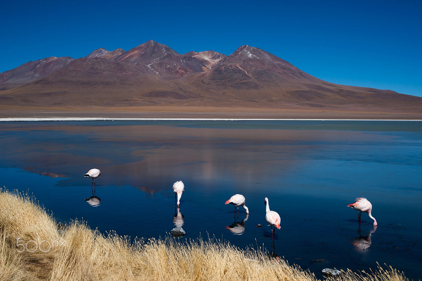 Sony Alpha DSLR-A900 + 35-70mm F4 sample photo. Laguna cañapa (5) photography