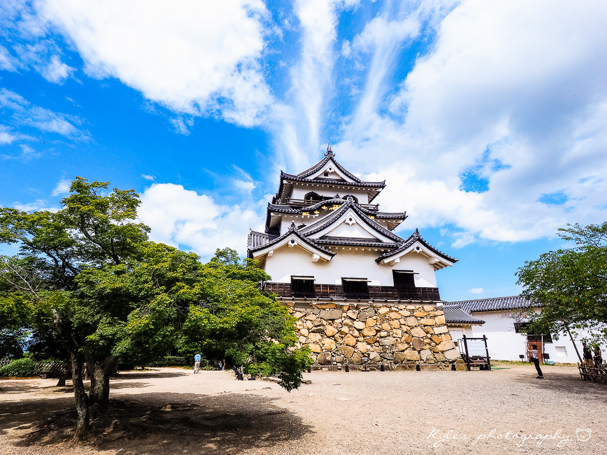 Olympus Zuiko Digital ED 9-18mm F4.0-5.6 sample photo. 彥根城 photography
