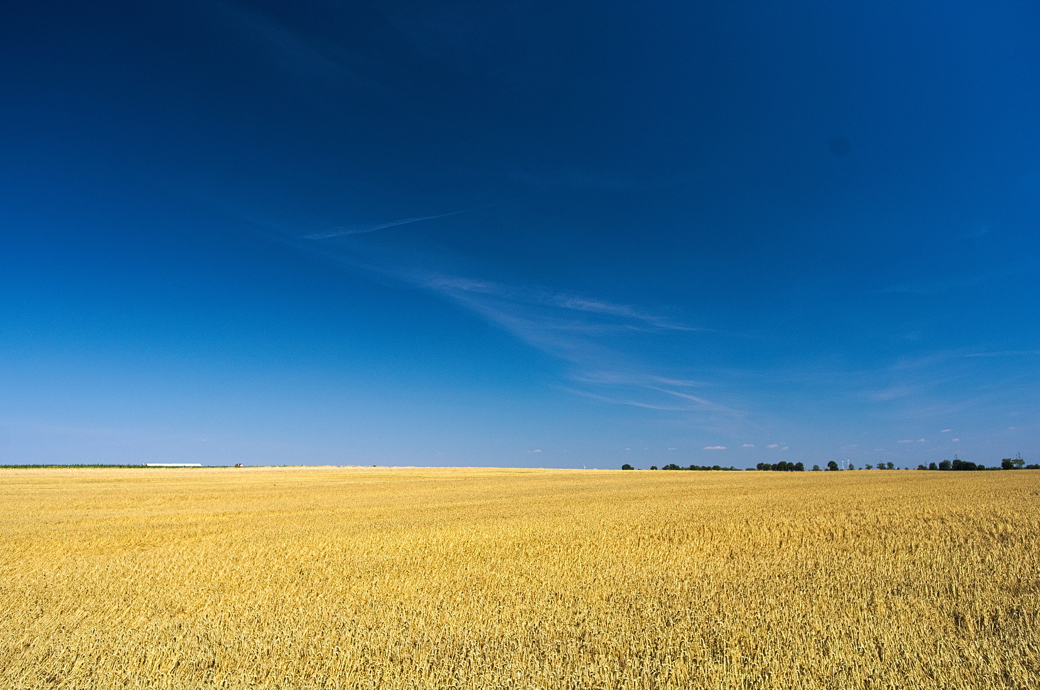 Pentax K-5 sample photo. Blue and yellow photography