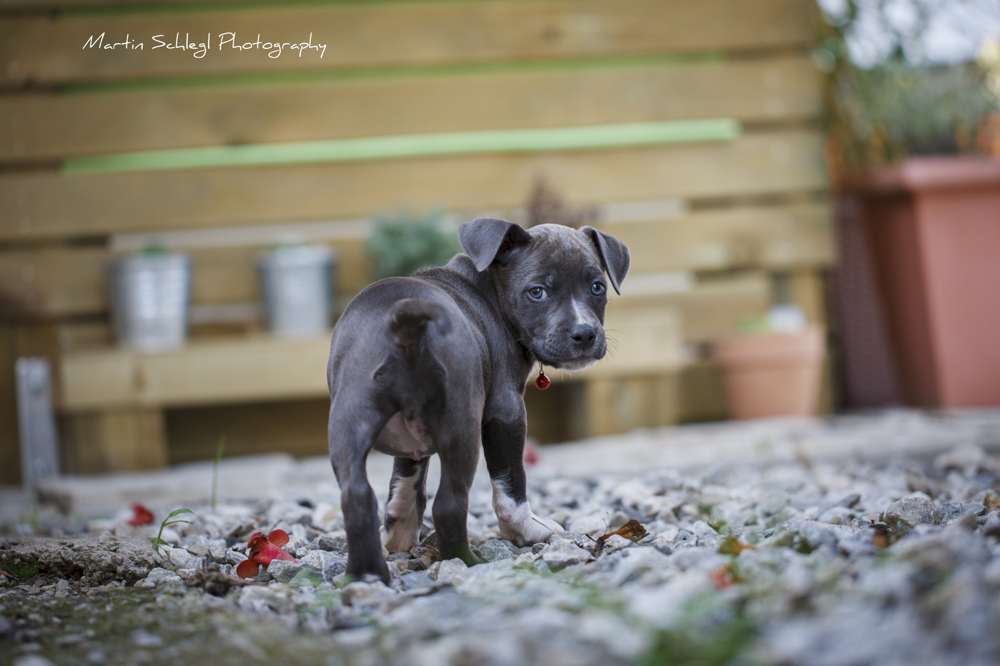 Canon EF 100mm F2.8L Macro IS USM sample photo. Lynn my baby photography
