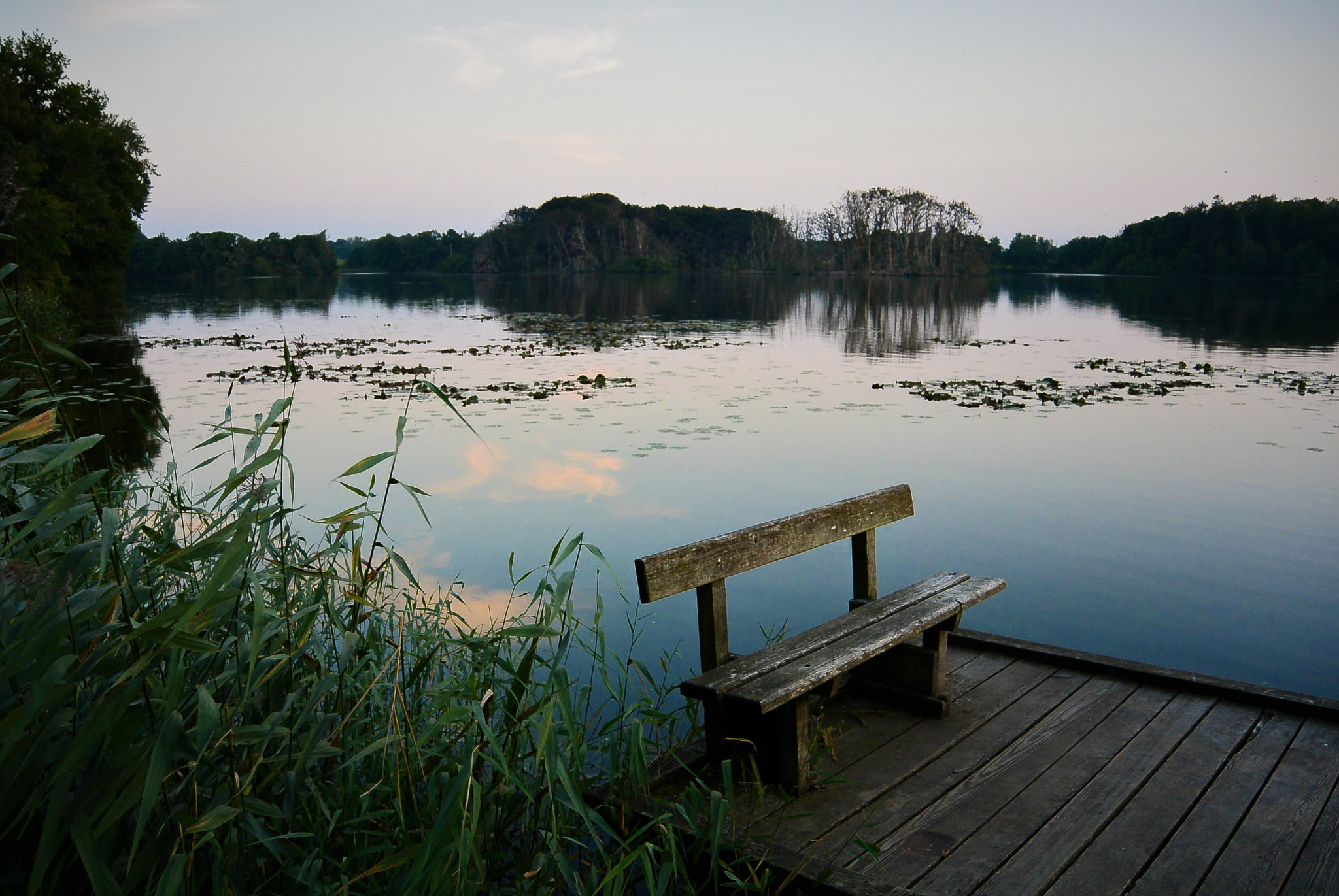 Nikon 1 Nikkor 11-27.5mm F3.5-5.6 sample photo. The evening... photography