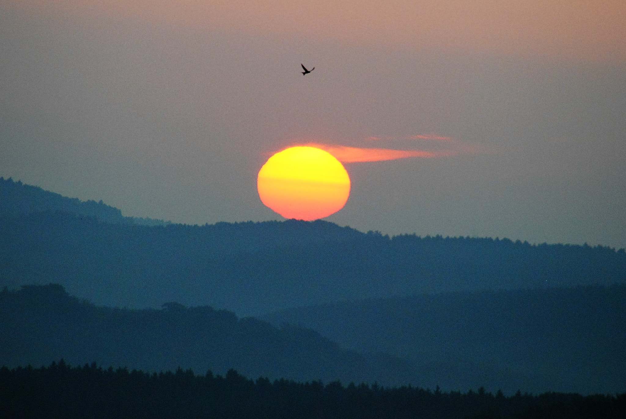 Nikon D3000 sample photo. Die welt erwacht... photography