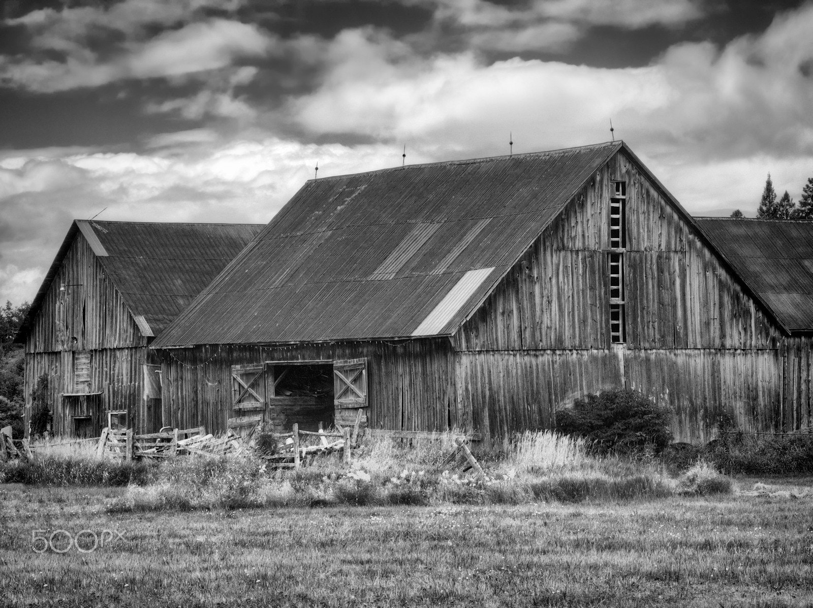 Olympus OM-D E-M5 sample photo. Two barns photography