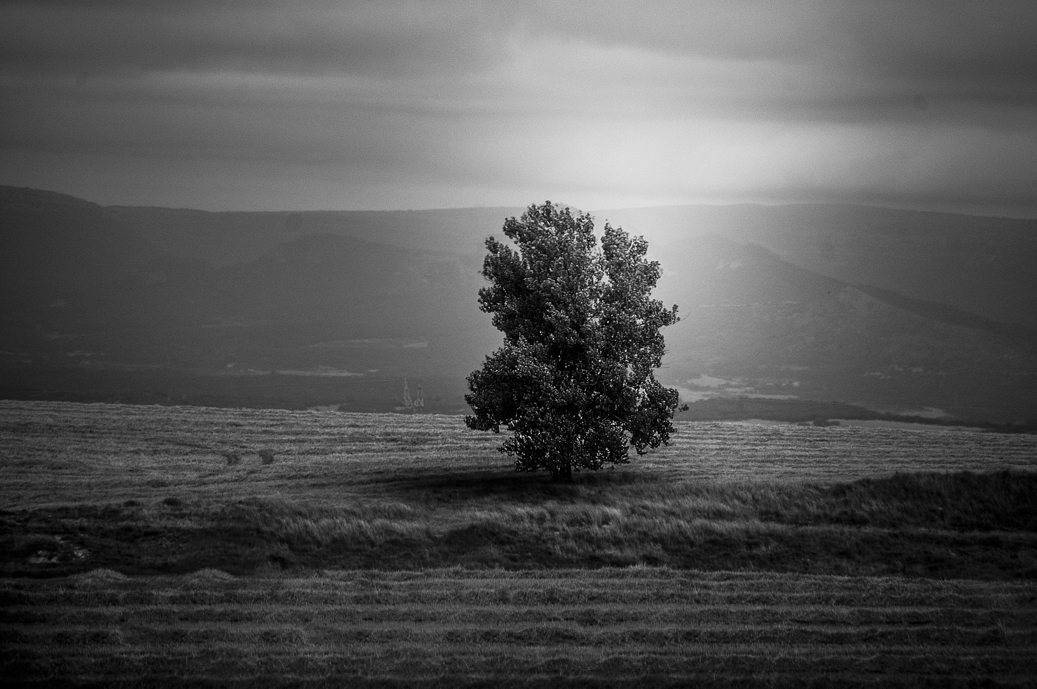Sigma 18-250mm F3.5-6.3 DC Macro OS HSM sample photo. Plain of spain photography