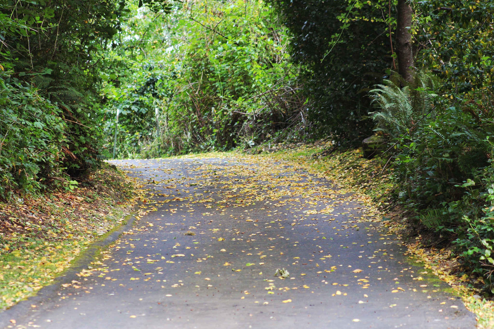 Canon EF75-300mm f/4-5.6 sample photo. Seasons changing... photography